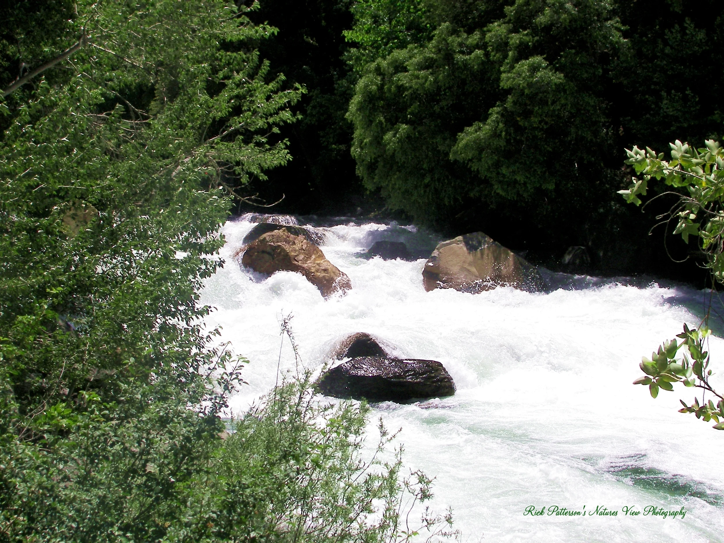 The powerful upper Kings River!