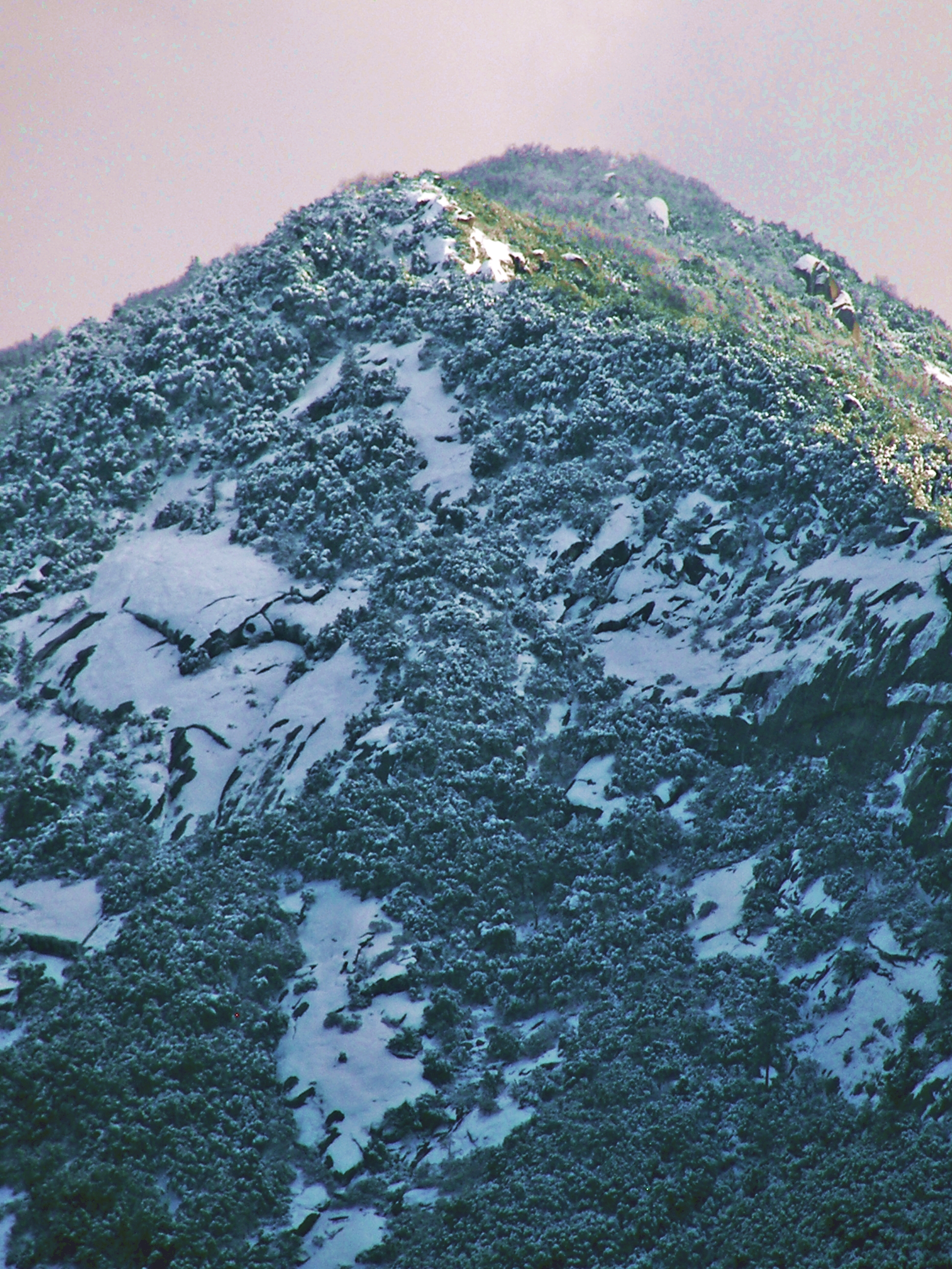 100_9190 enhanced.JPG