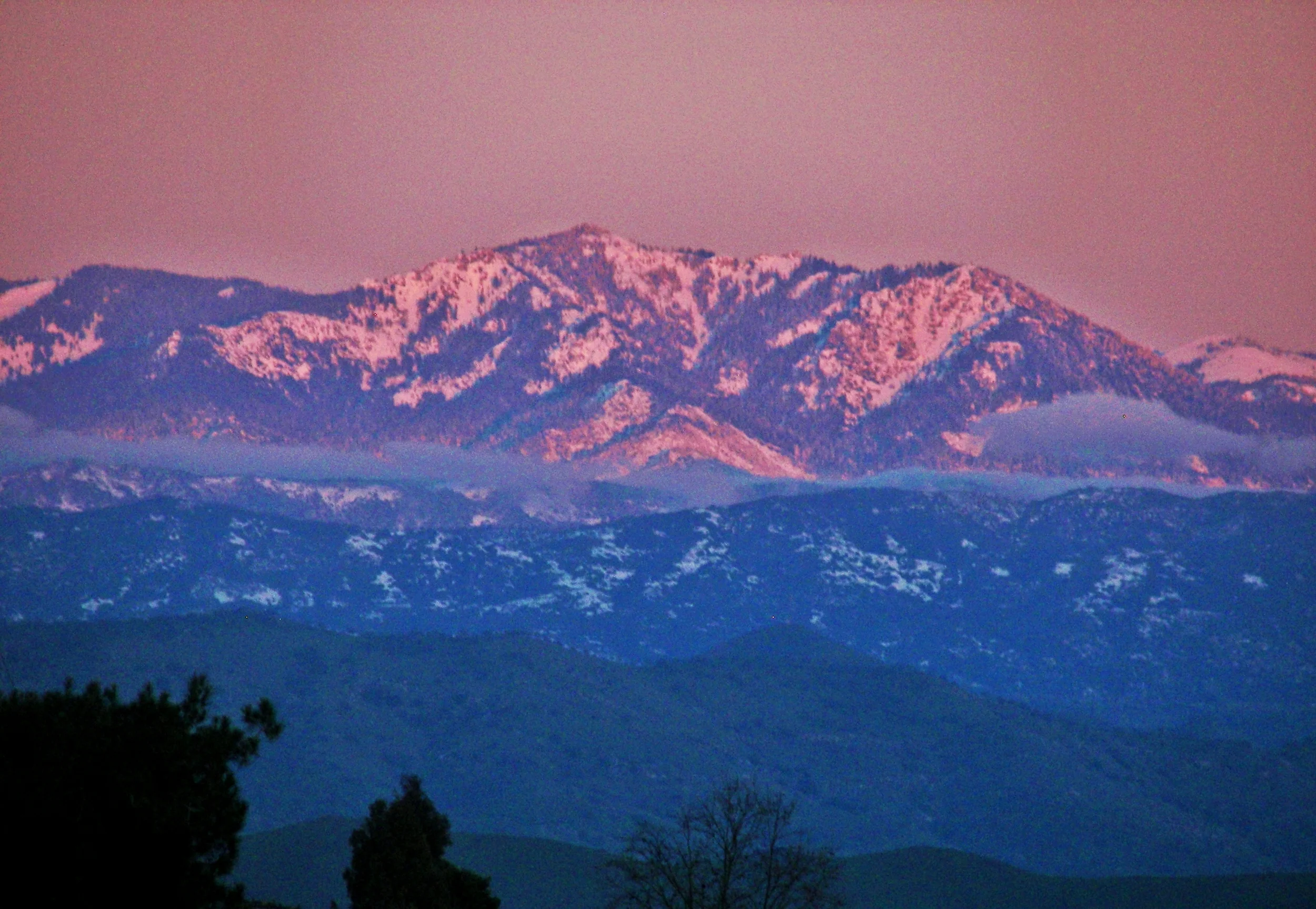 100_9253 enhanced c darkened.JPG