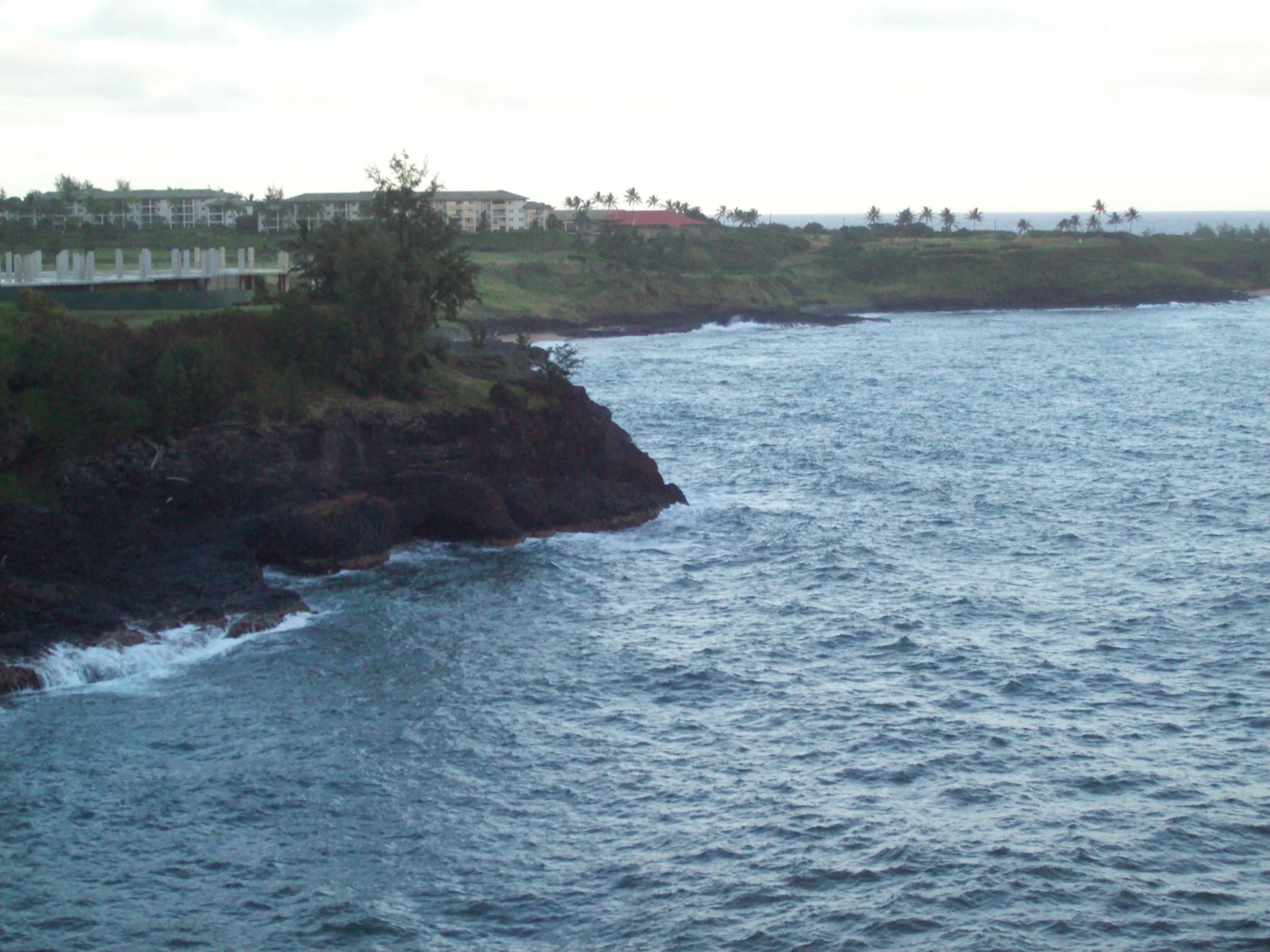 100_2332.JPG