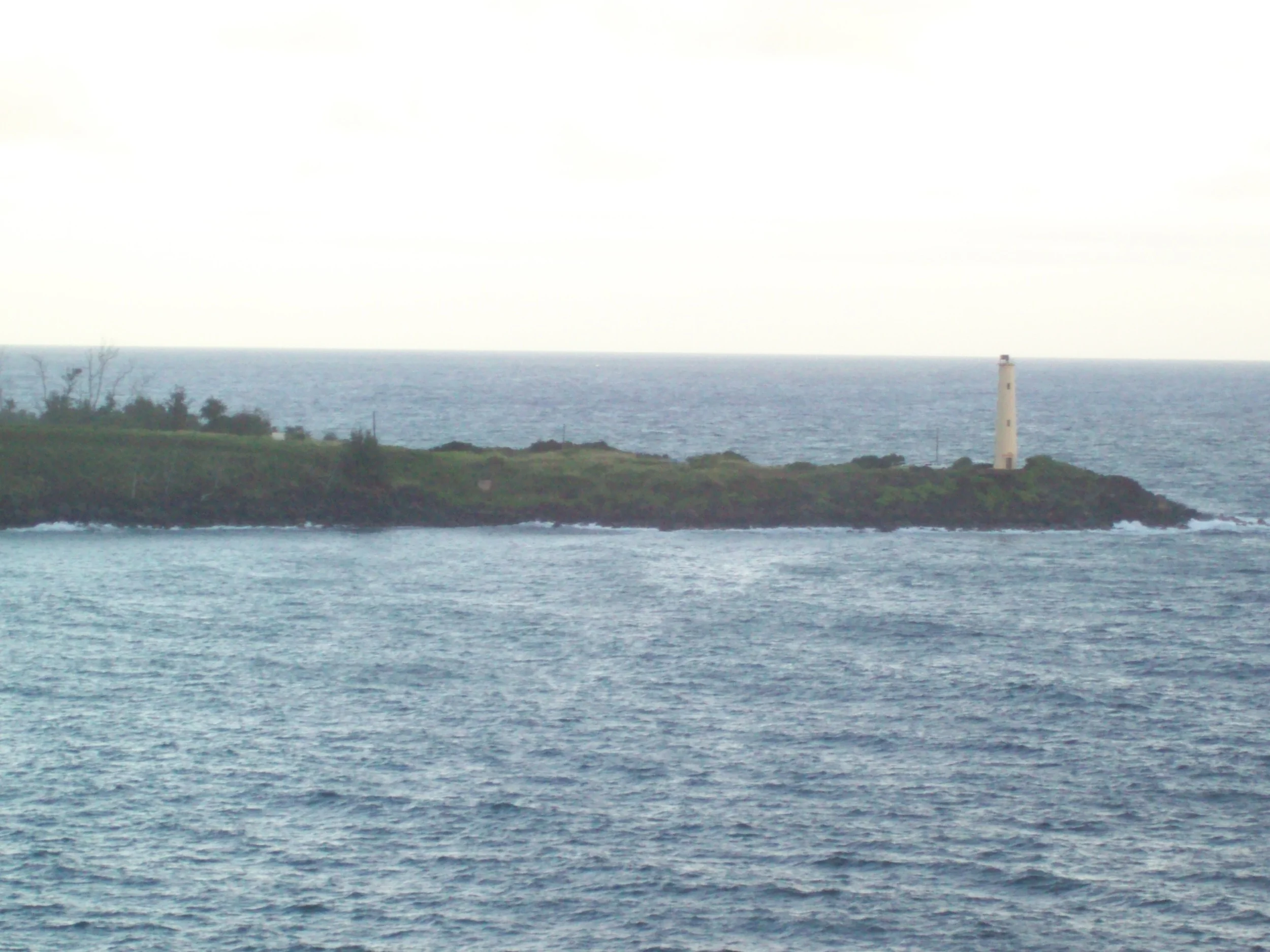 100_2333.JPG