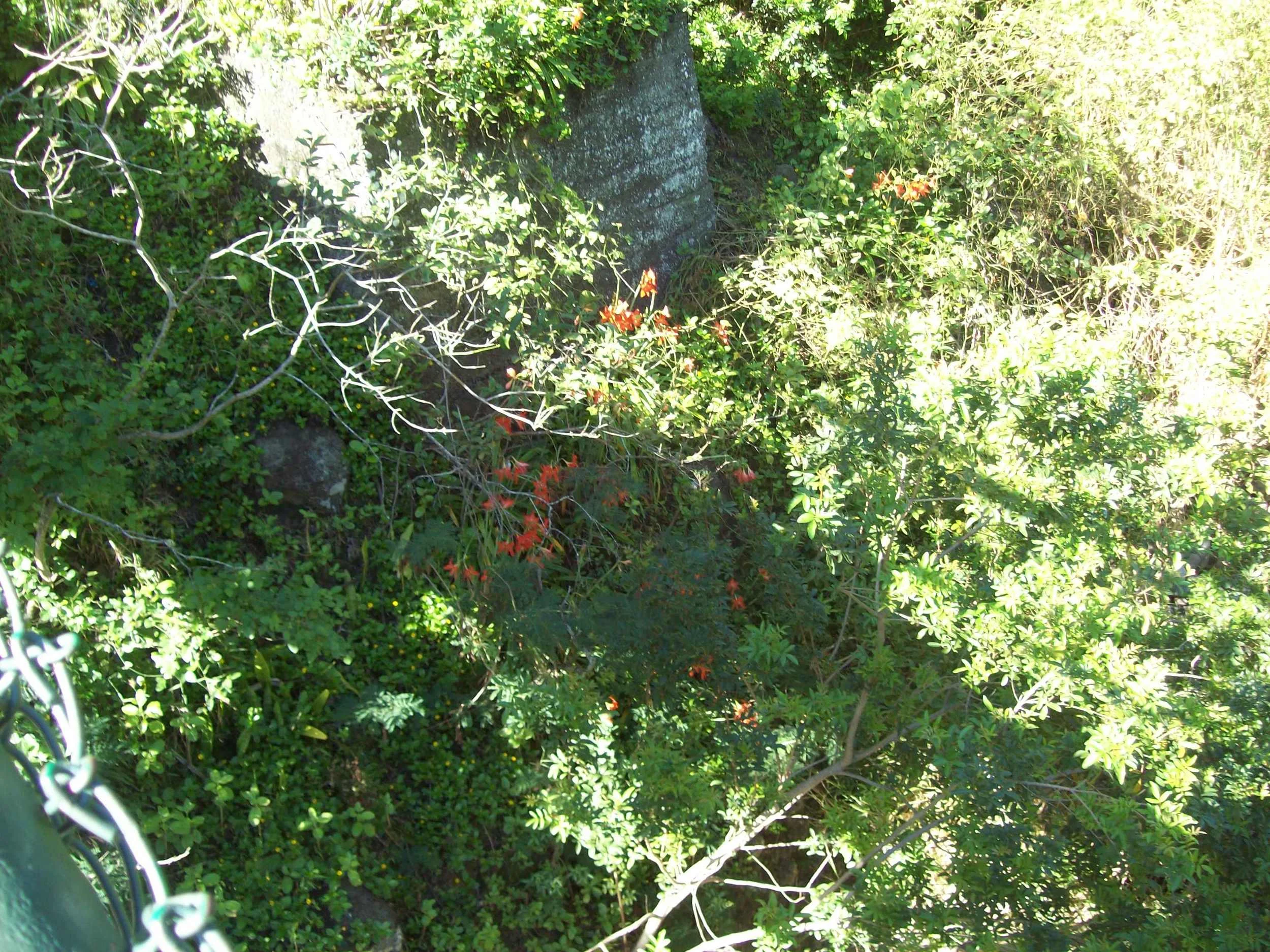 100_2354.JPG