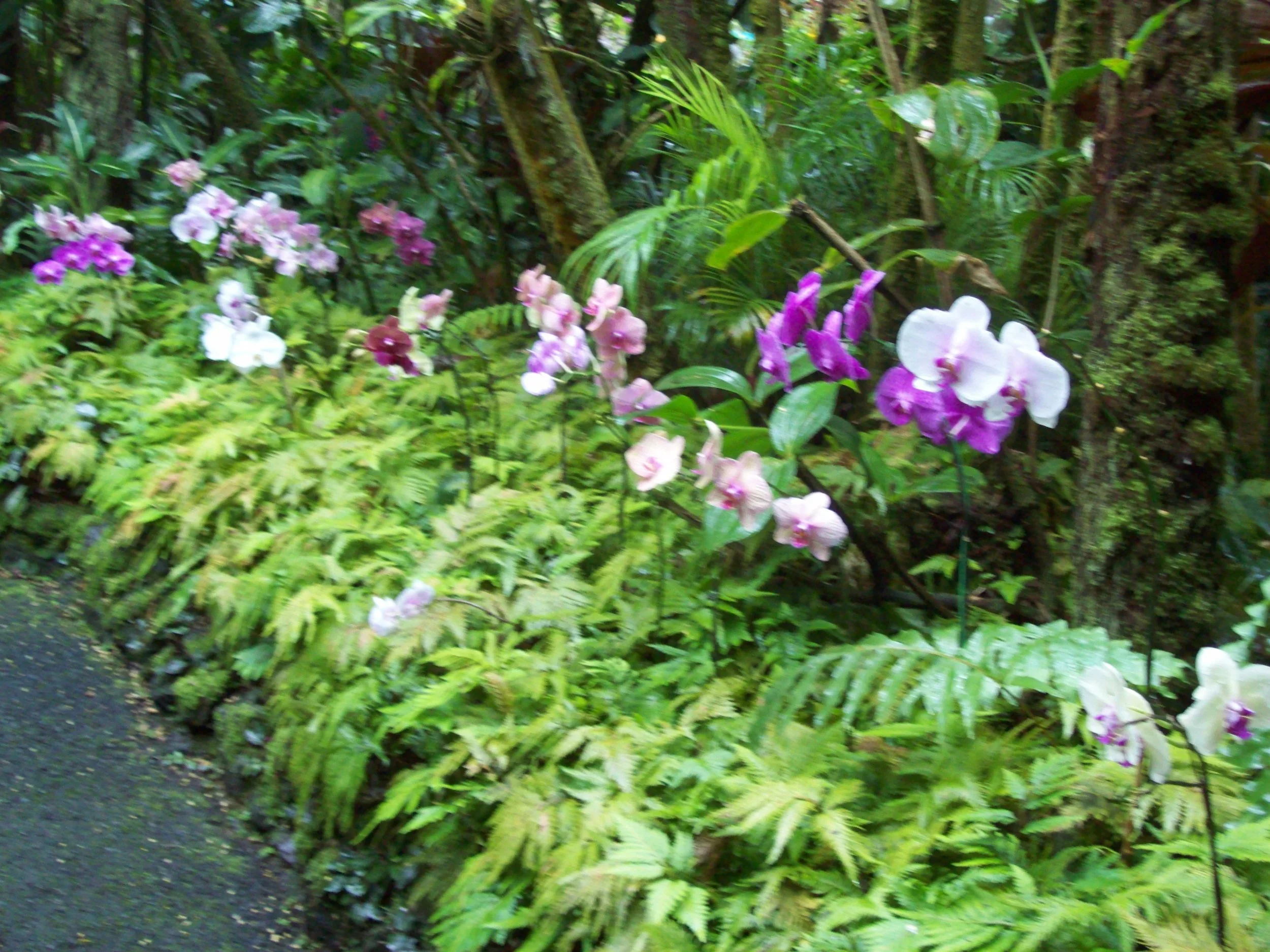 100_2537.JPG