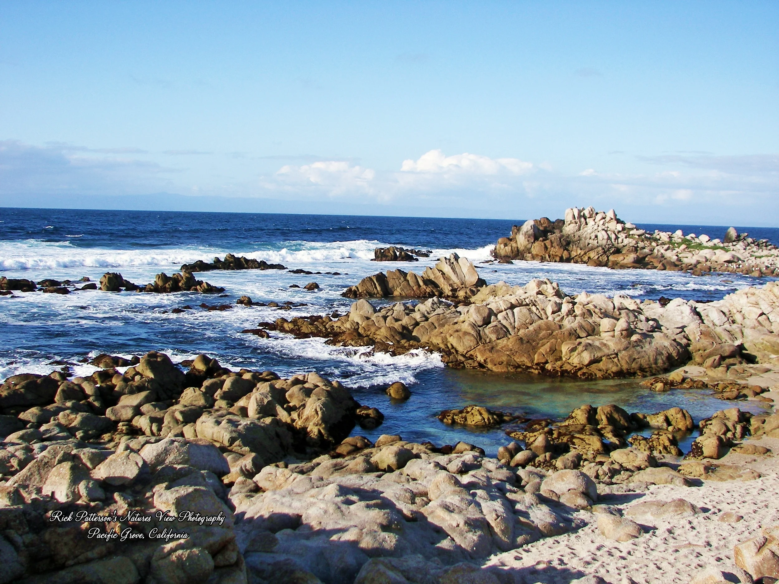 100_8998aa rpnvp.JPG