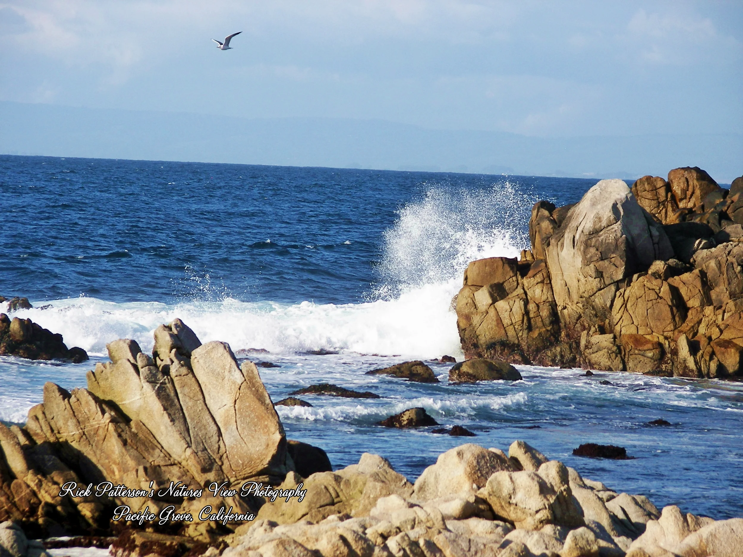 100_9016 aa rpnvp.JPG