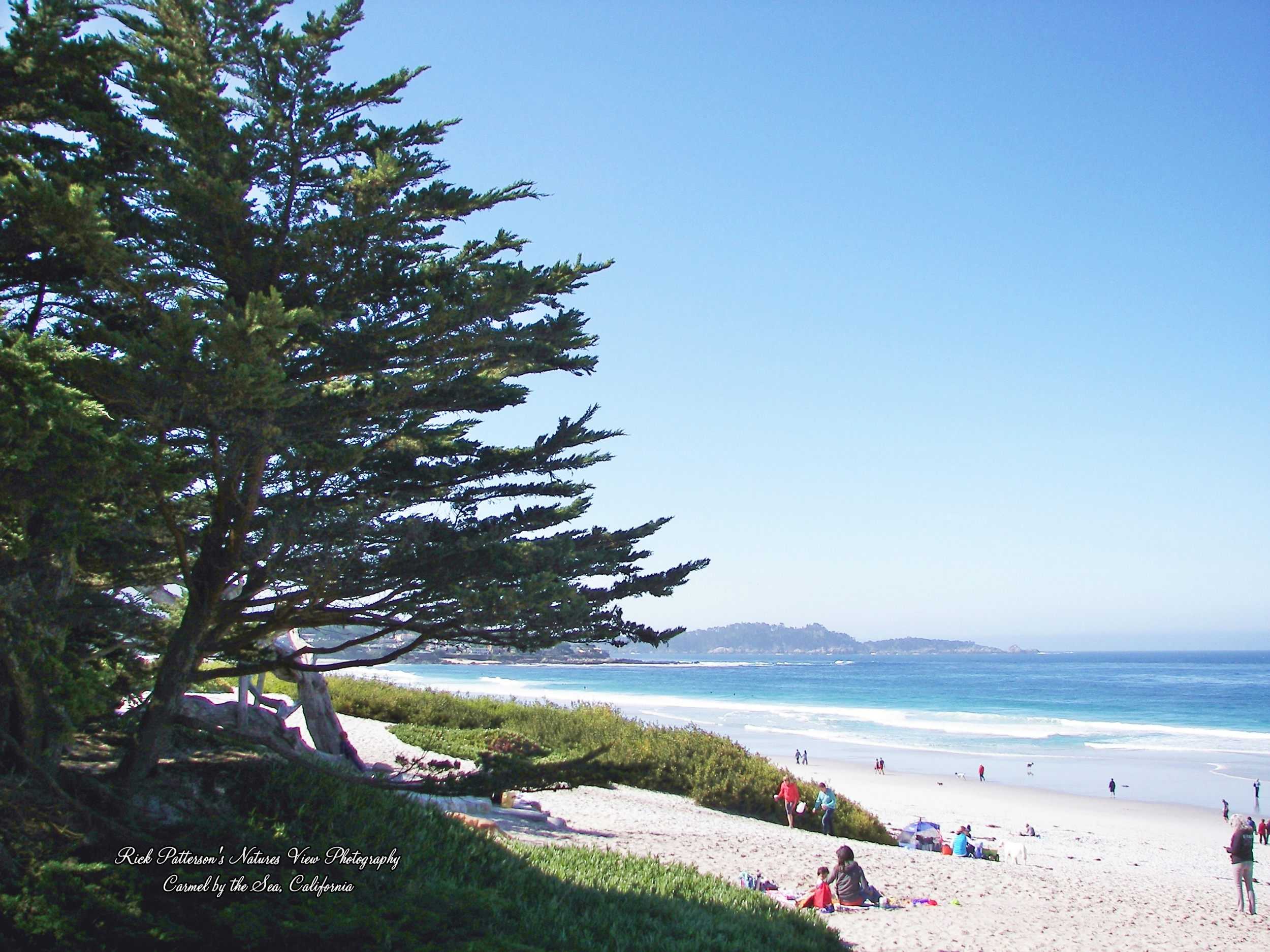 100_9161aaa rpnvp.JPG