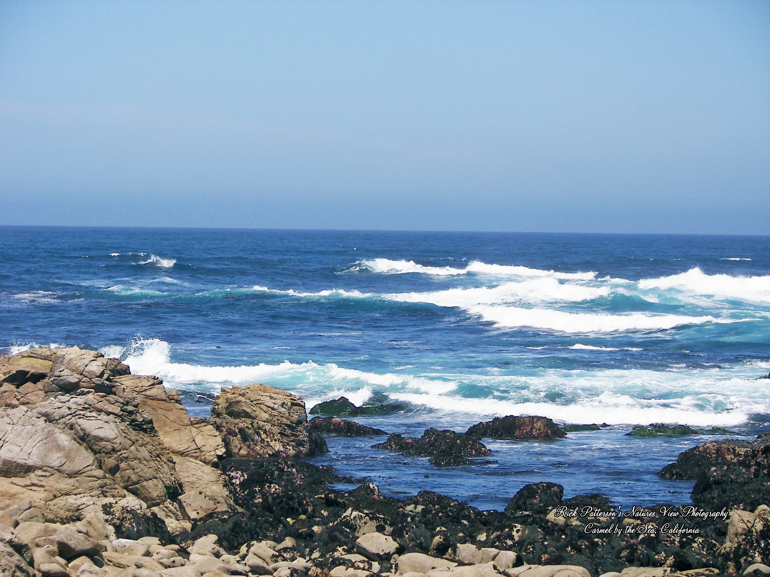 100_9177aaa rpnvp.JPG