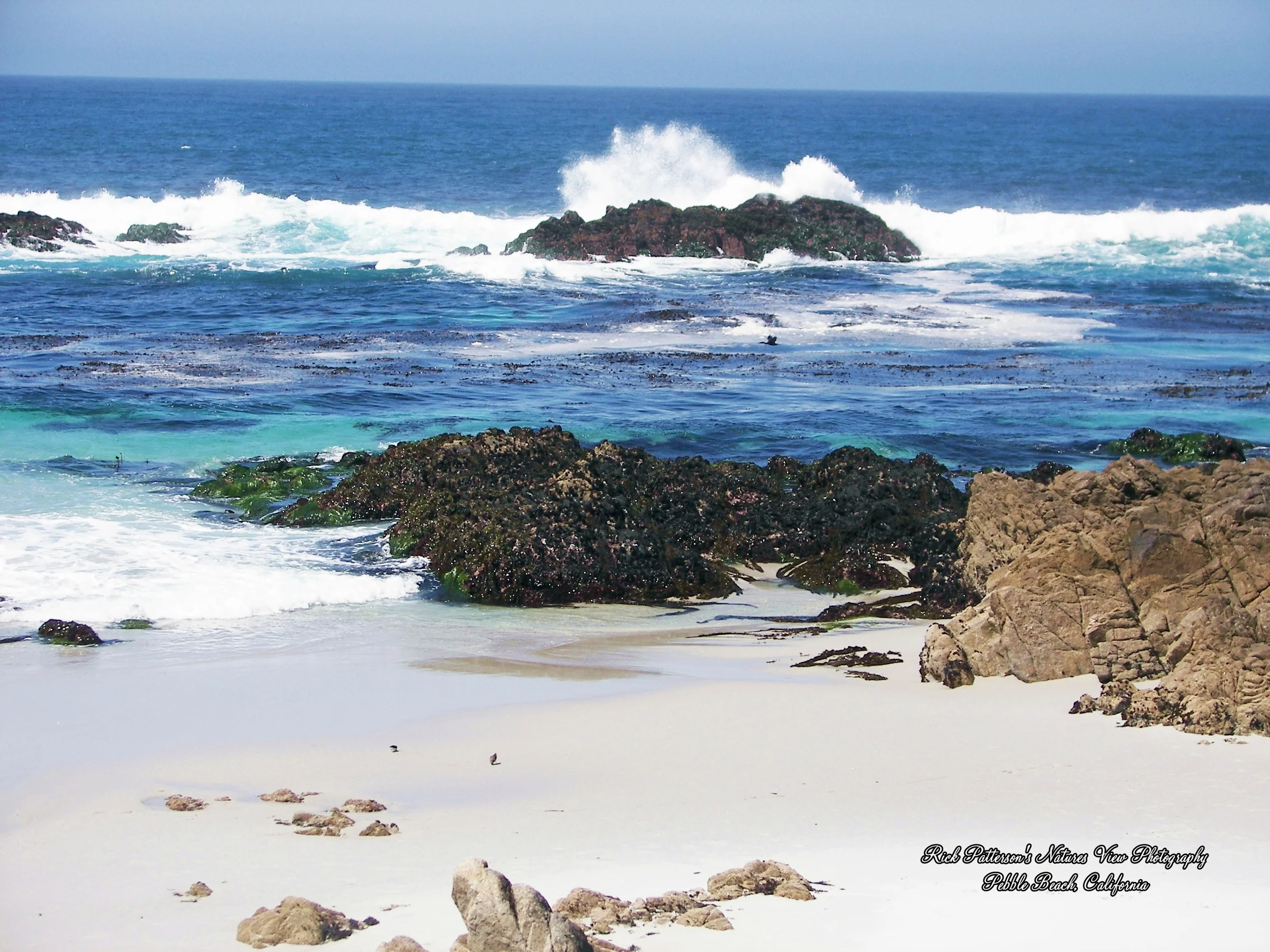 100_9195 aaa rpnvp.JPG