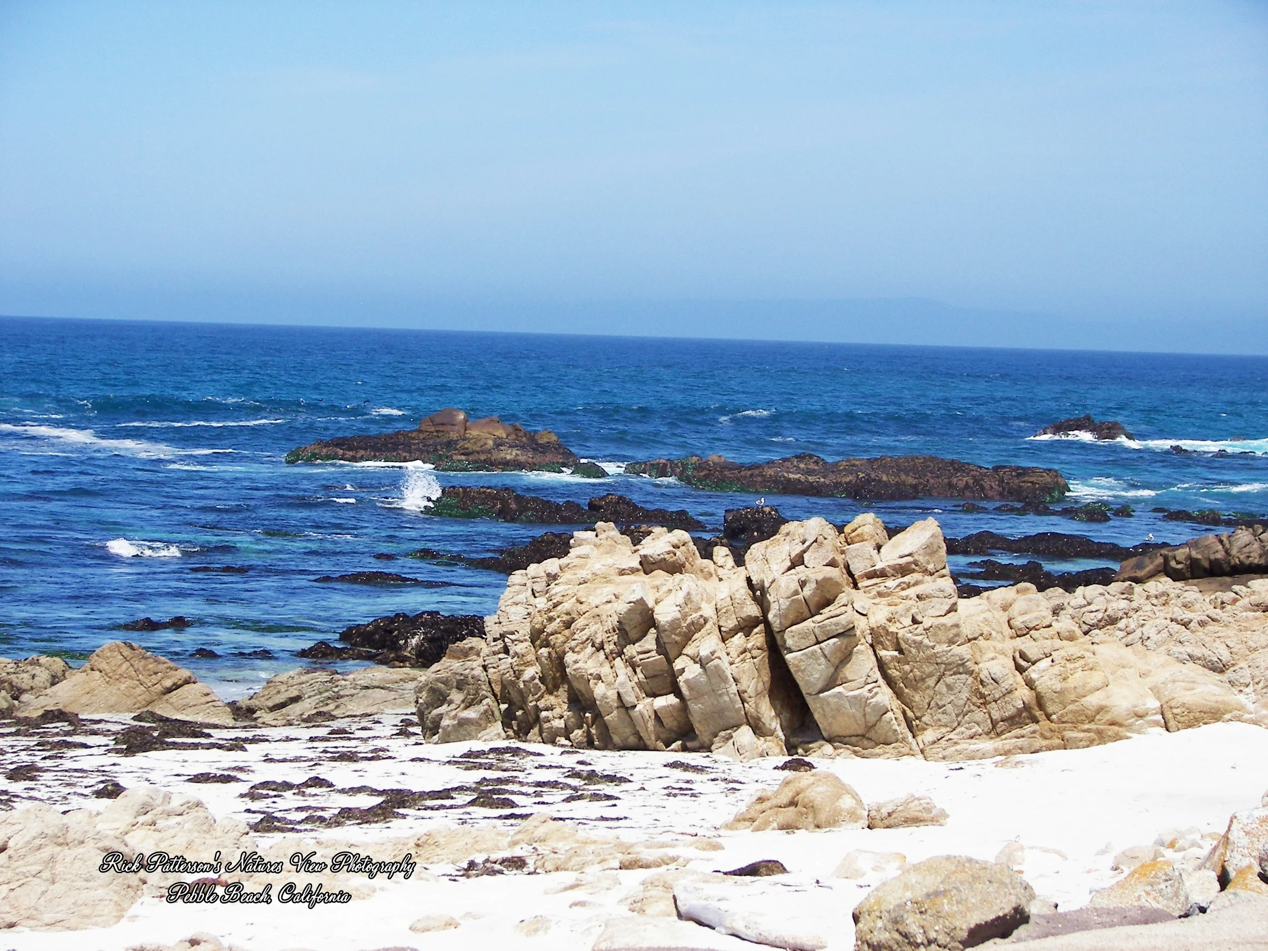 100_9199aaa rpnvp.JPG