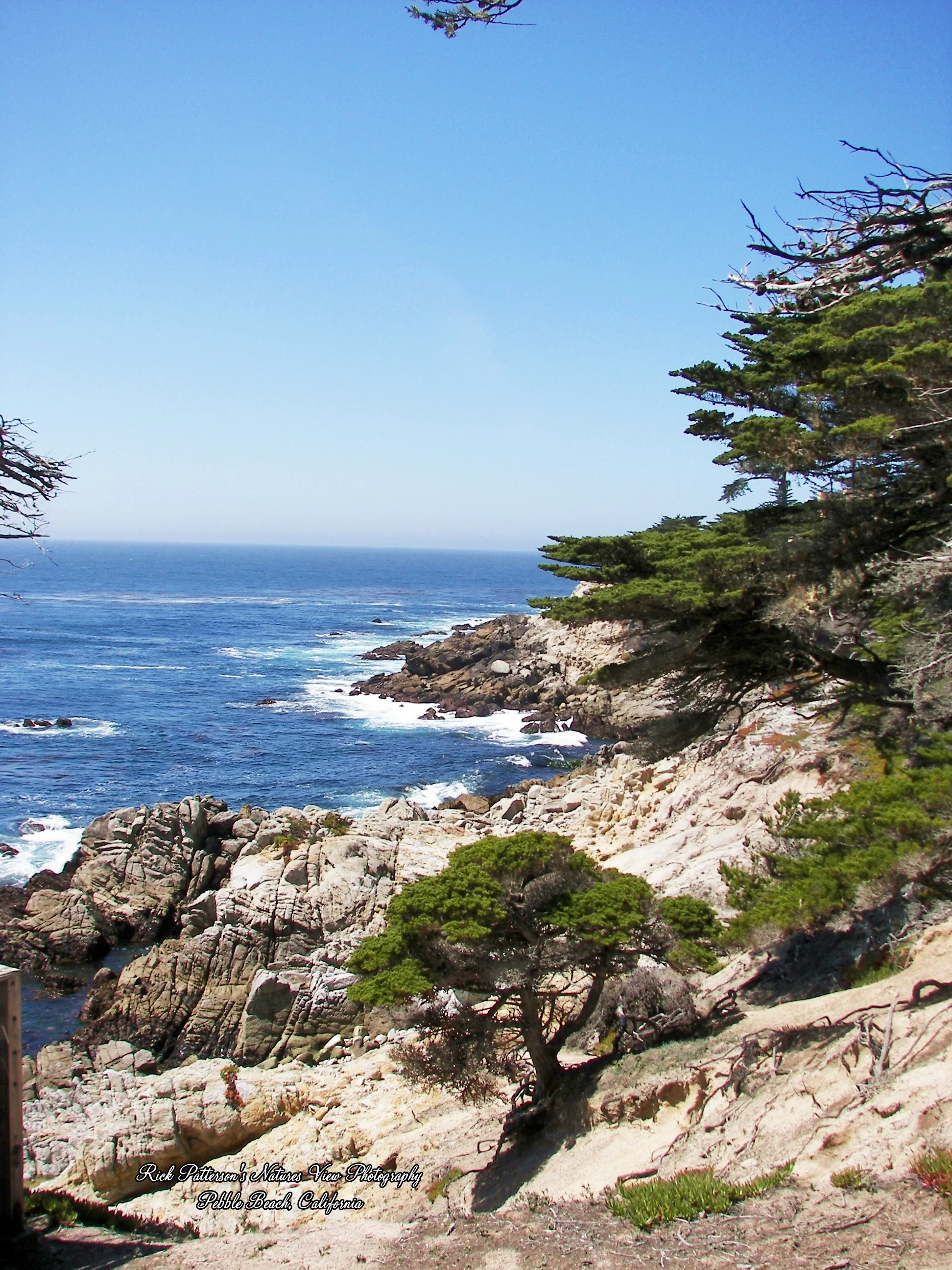 100_9210 aaa rpnvp.JPG