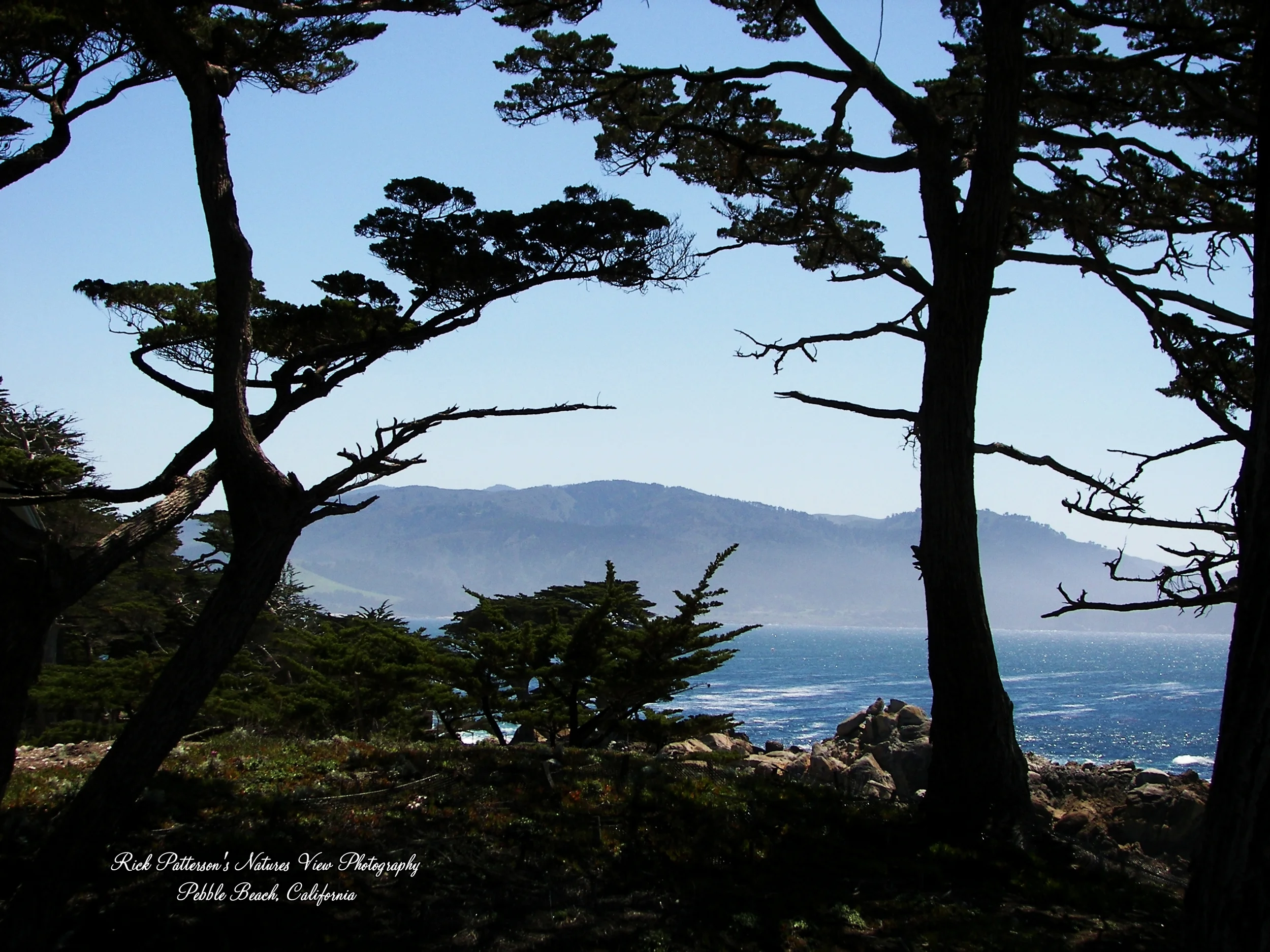 100_9222aaa rpnvp.JPG