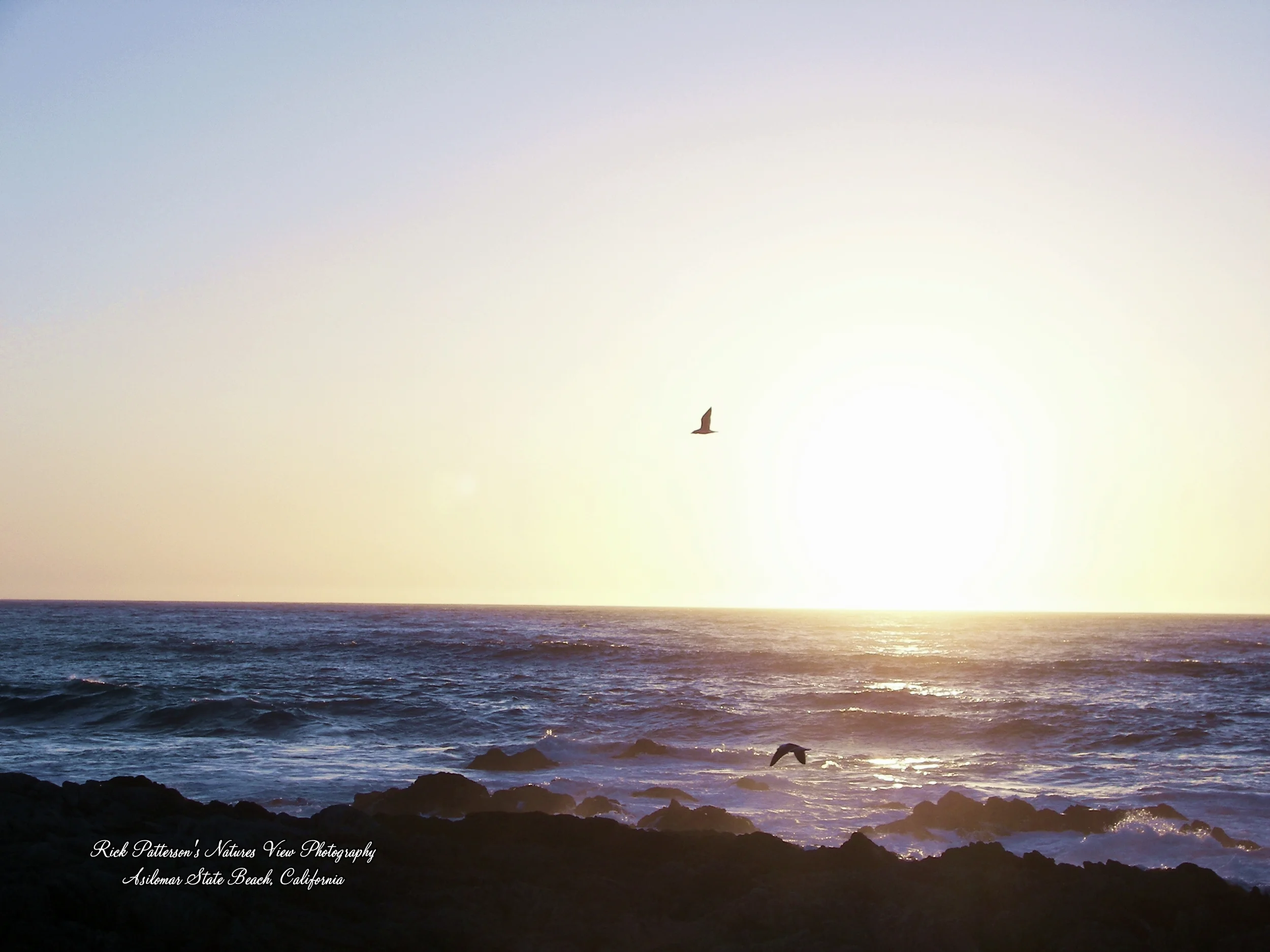 100_9227aaa rpnvp.JPG