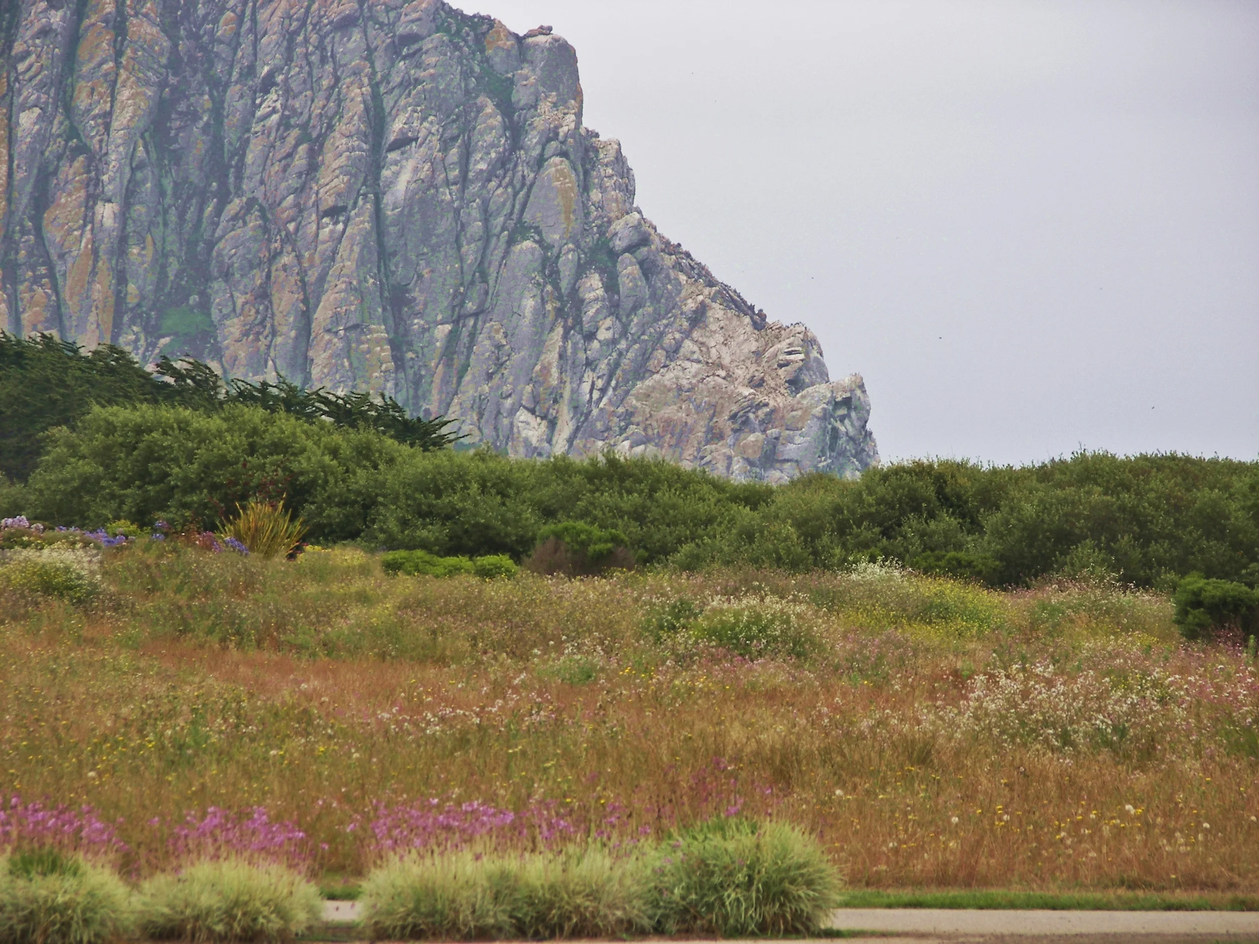 100_0238 Enhanced 01.JPG