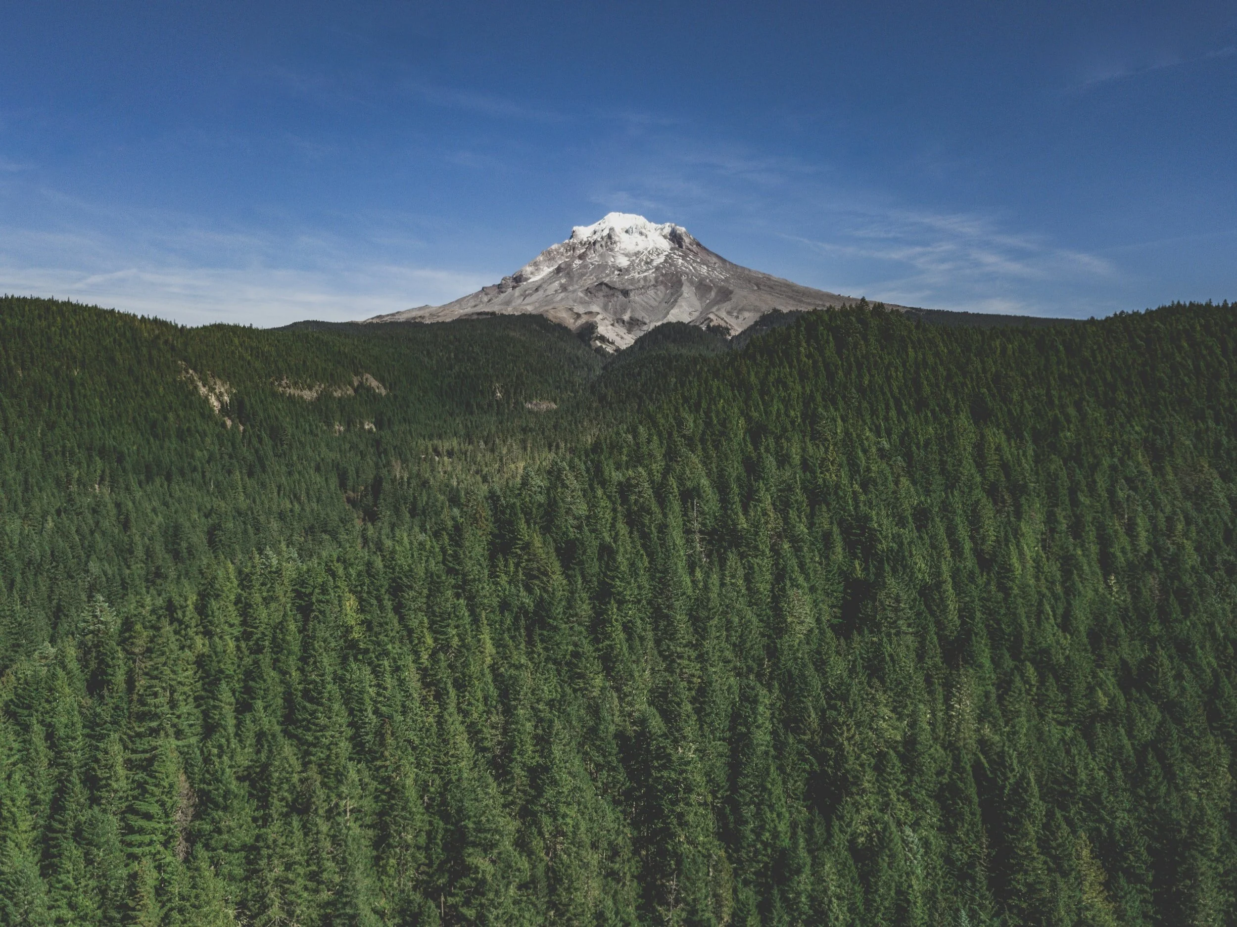 I Don't Want to be Your Mentor