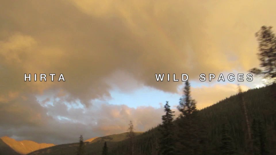 wildspaces