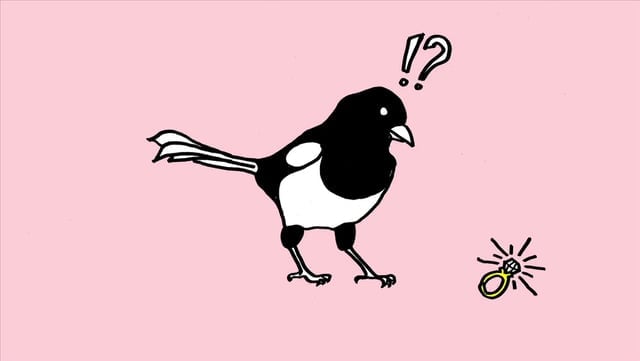 EWDpica-pica