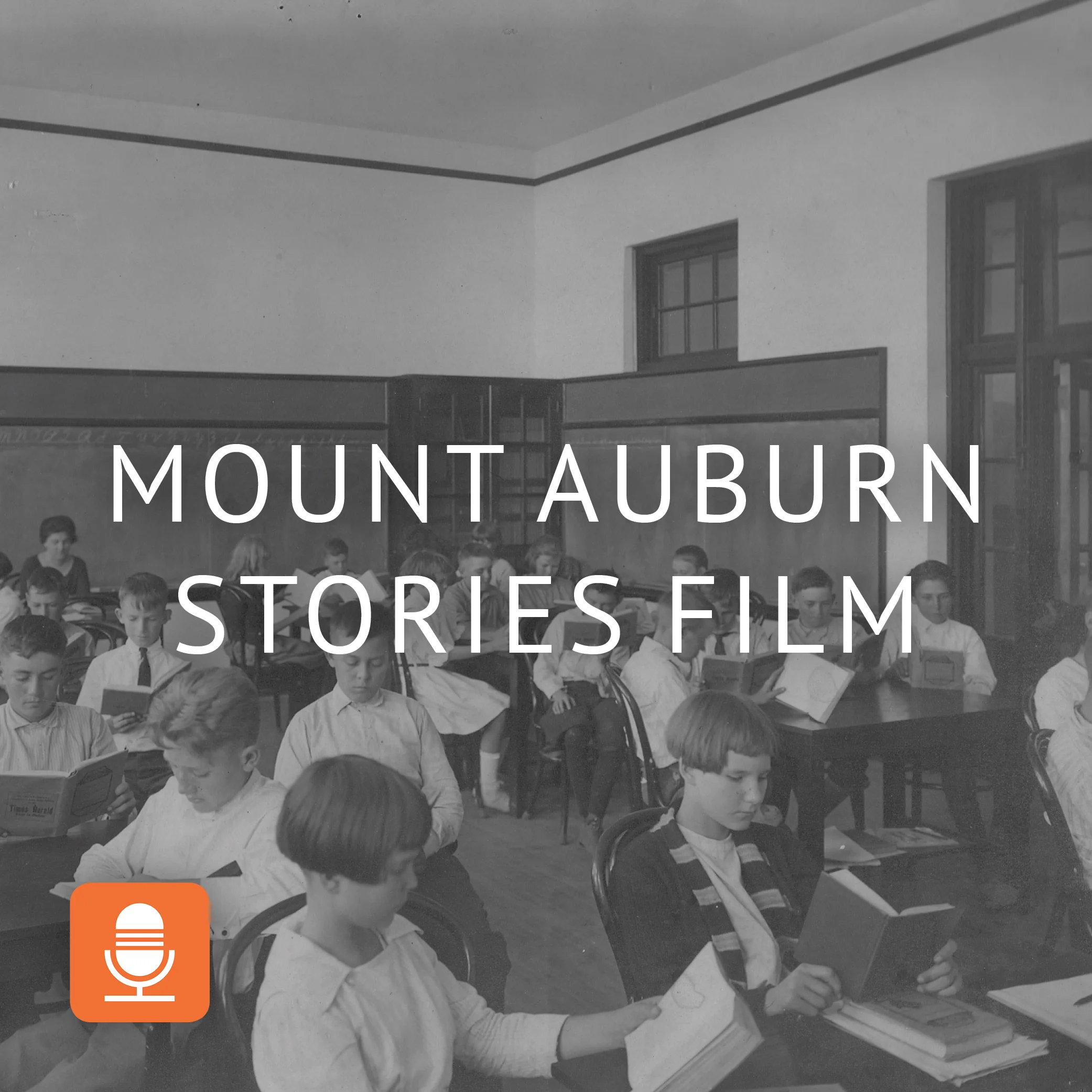 Mount Auburn Film