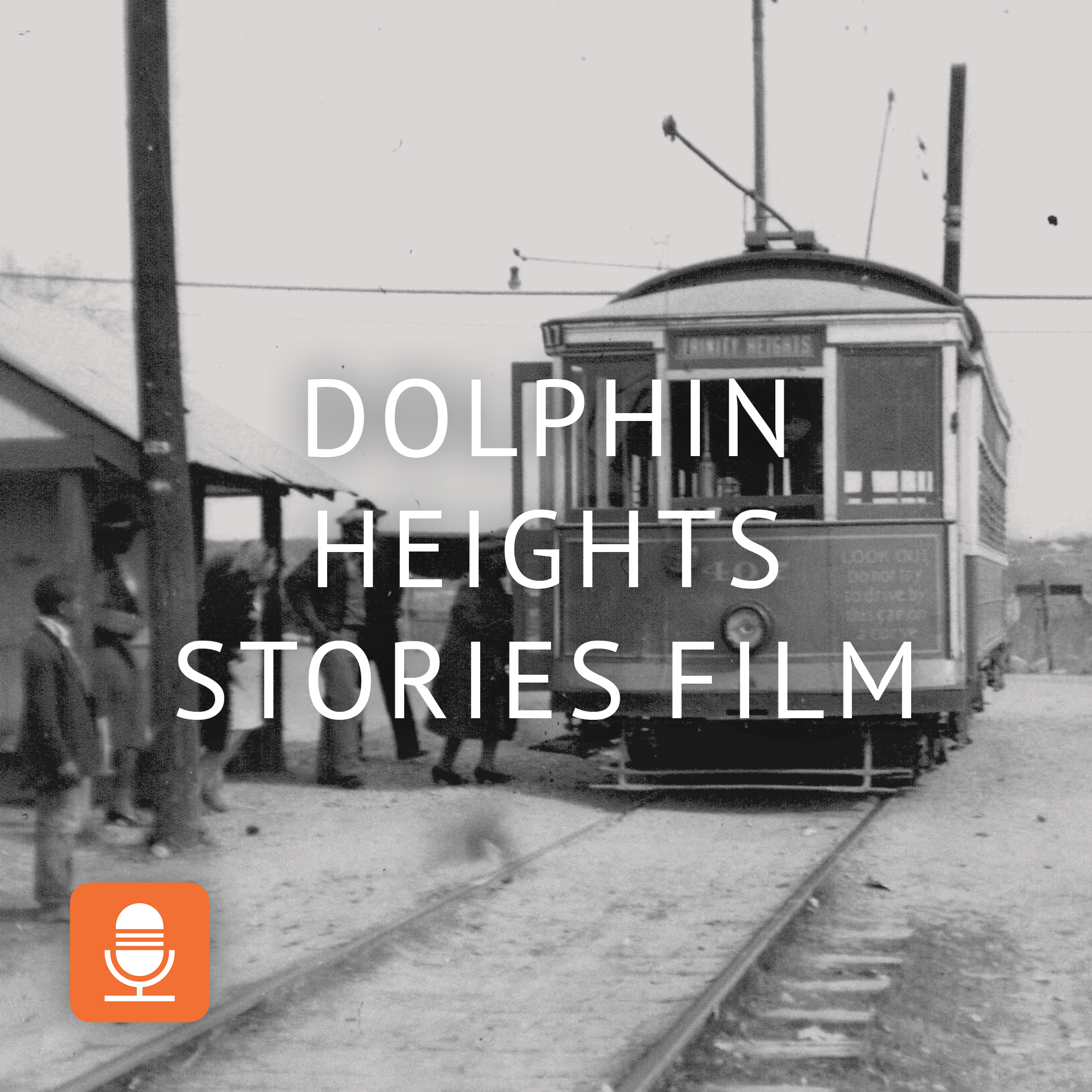 Dolphin Heights Stories Film