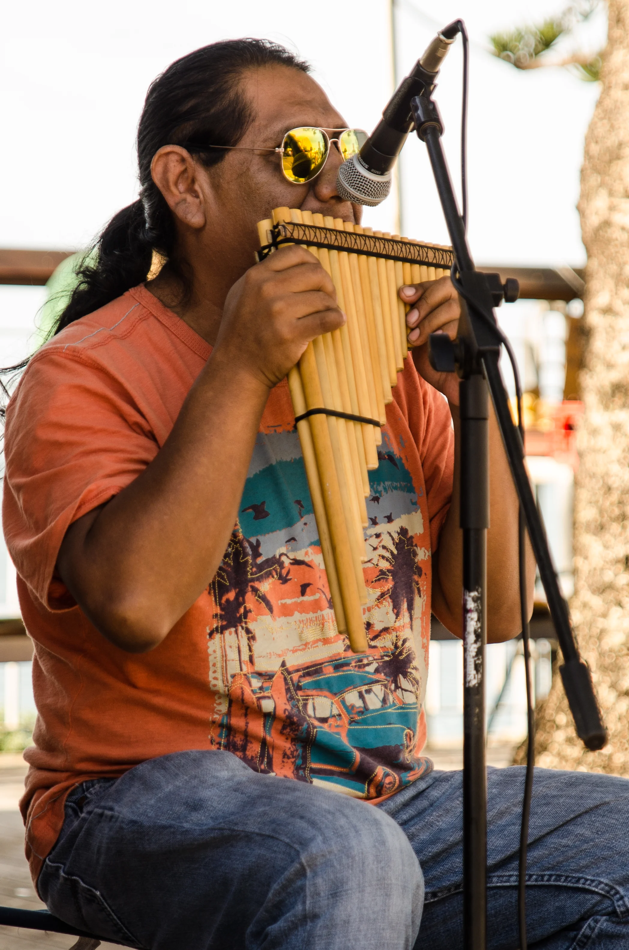 DSD_7643.jpg
