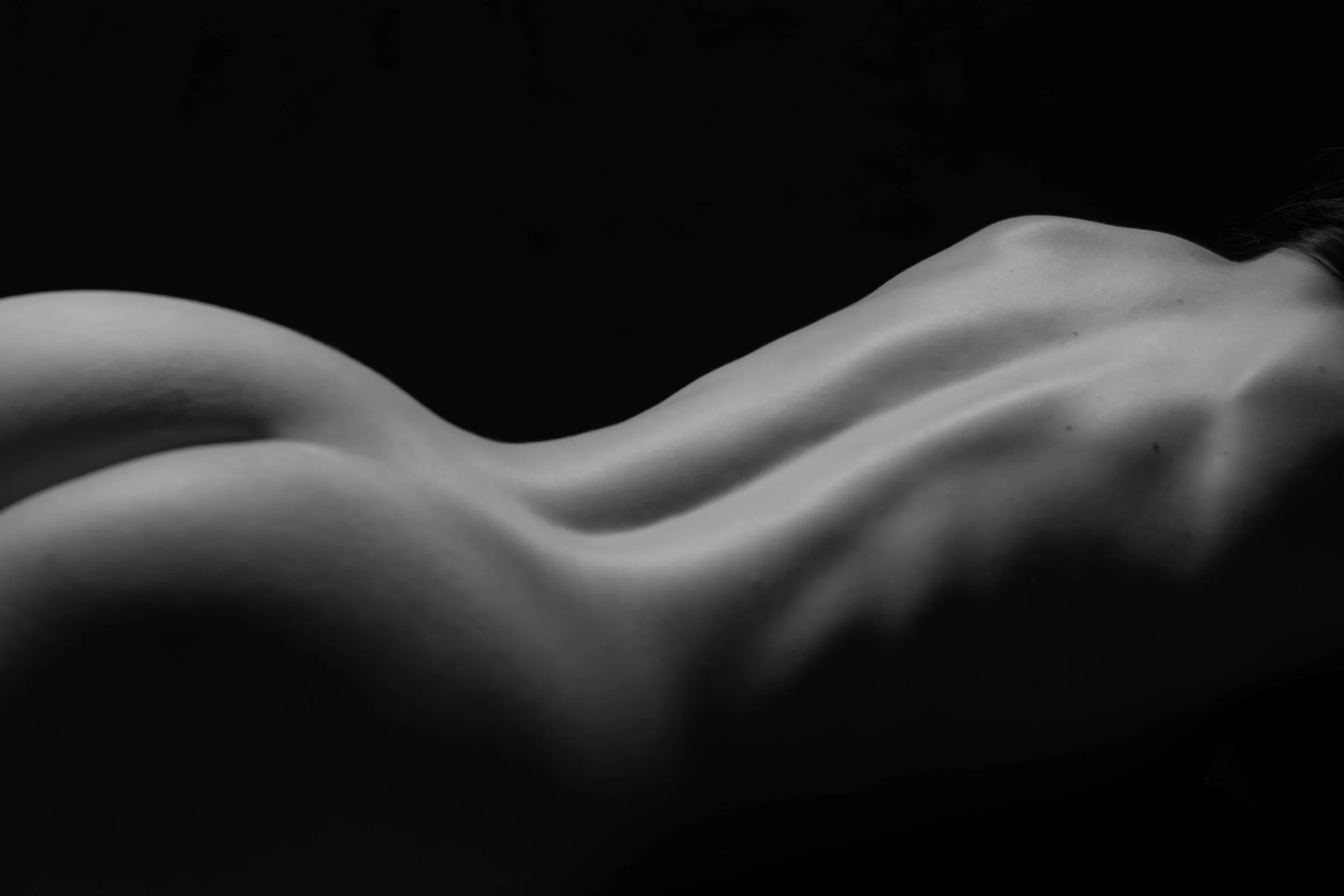 _8108069-Edit-2.jpg