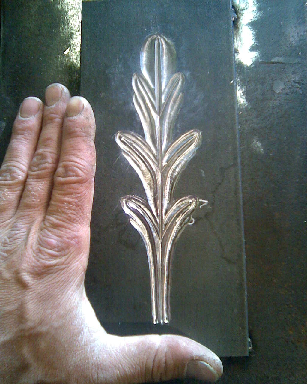 Image135.jpg