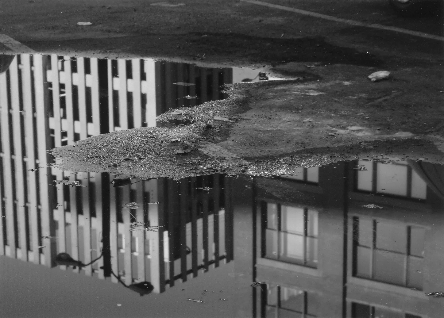 bnw_cpgs[penninsula-puddle]web.jpg