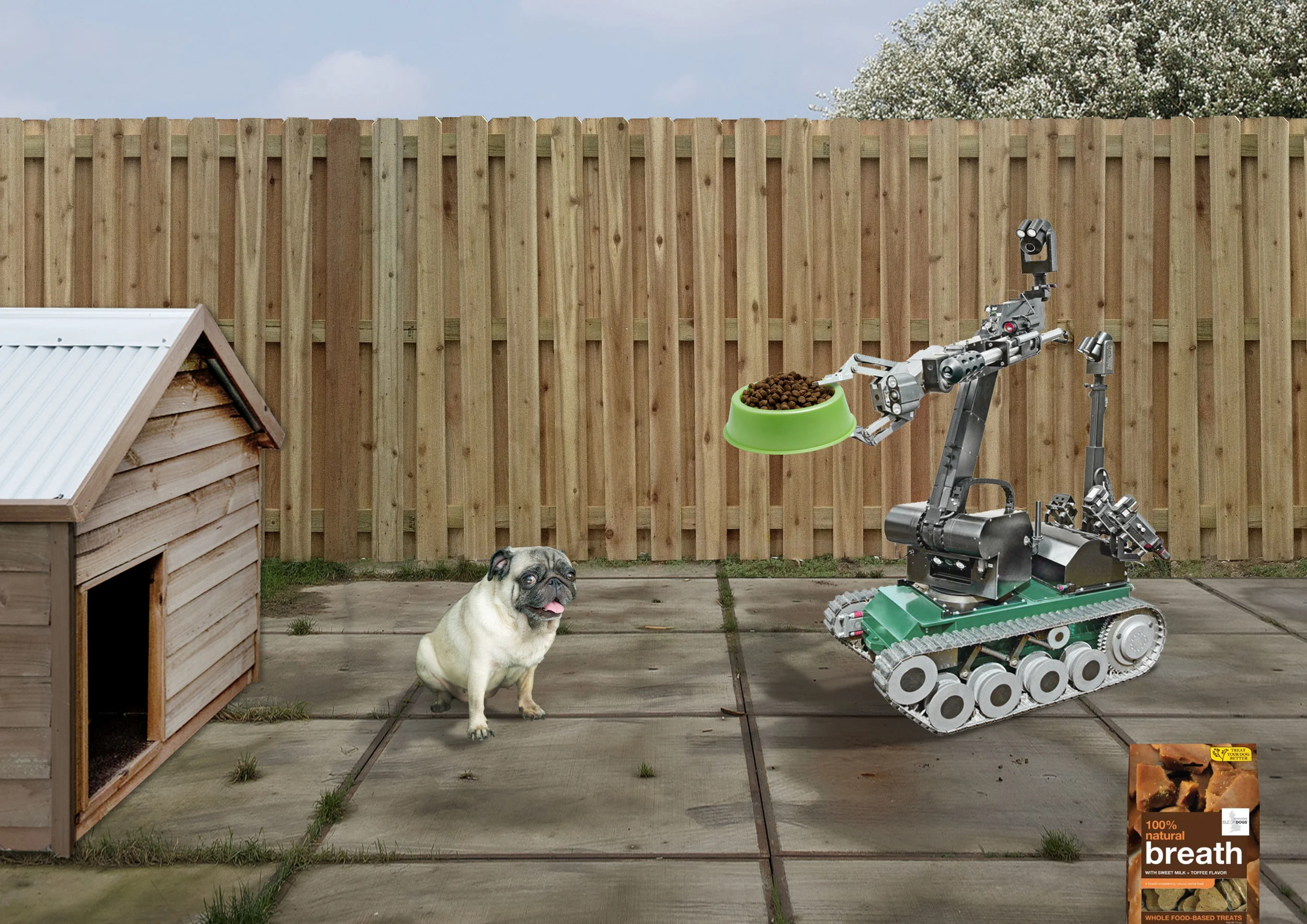 ISLE OF DOGS_BREATH_BD_test_PUG_02.jpg