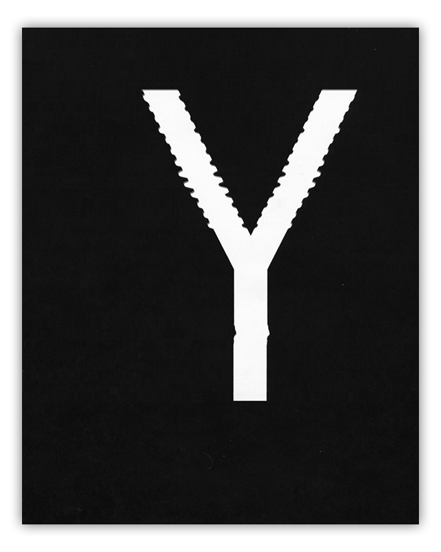 AlexisTurim-ExpType-Y.png