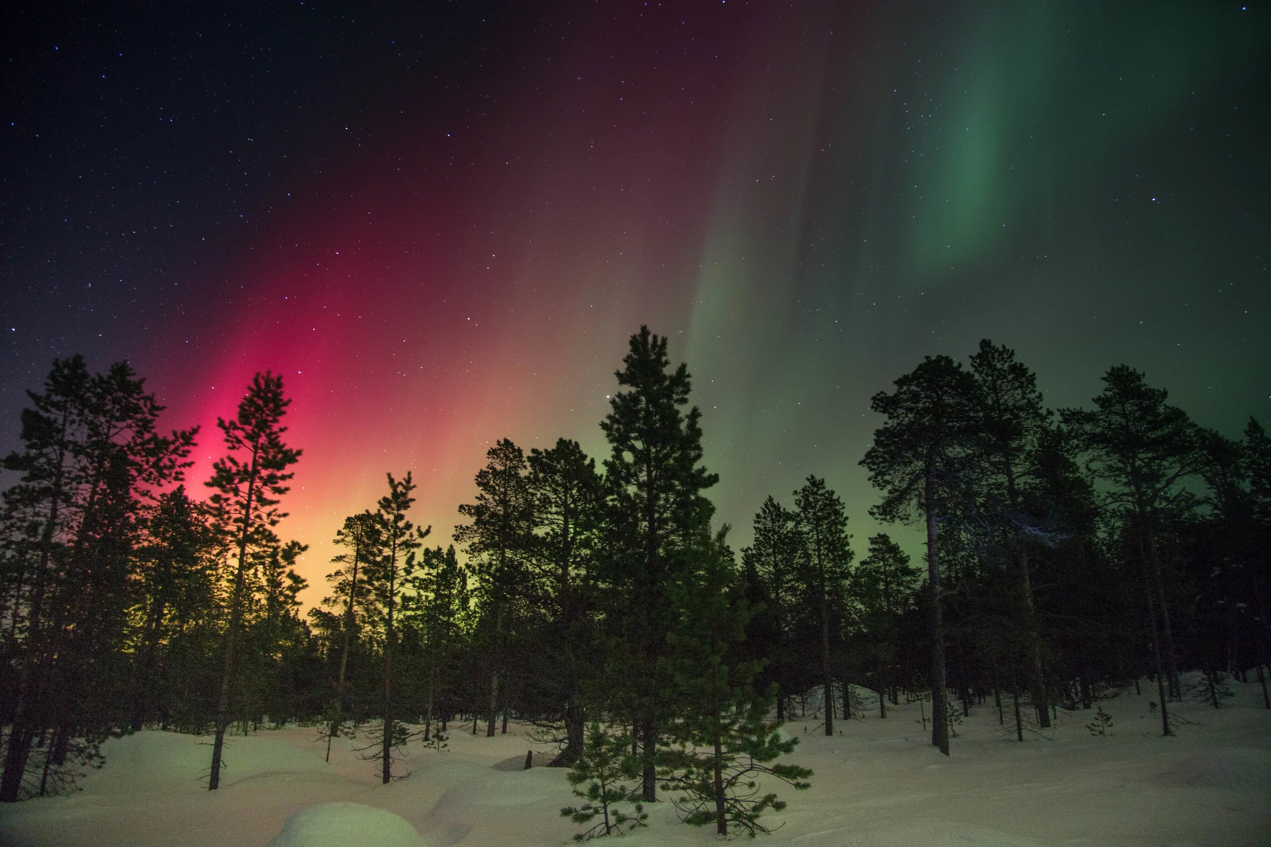 Northern Lights.jpg