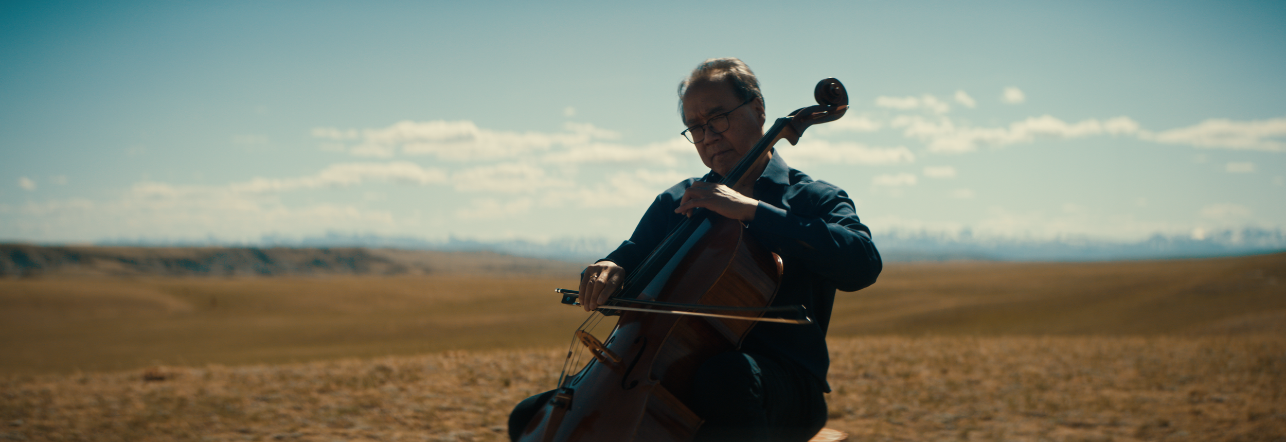 BUFFALO STILLS 3.png