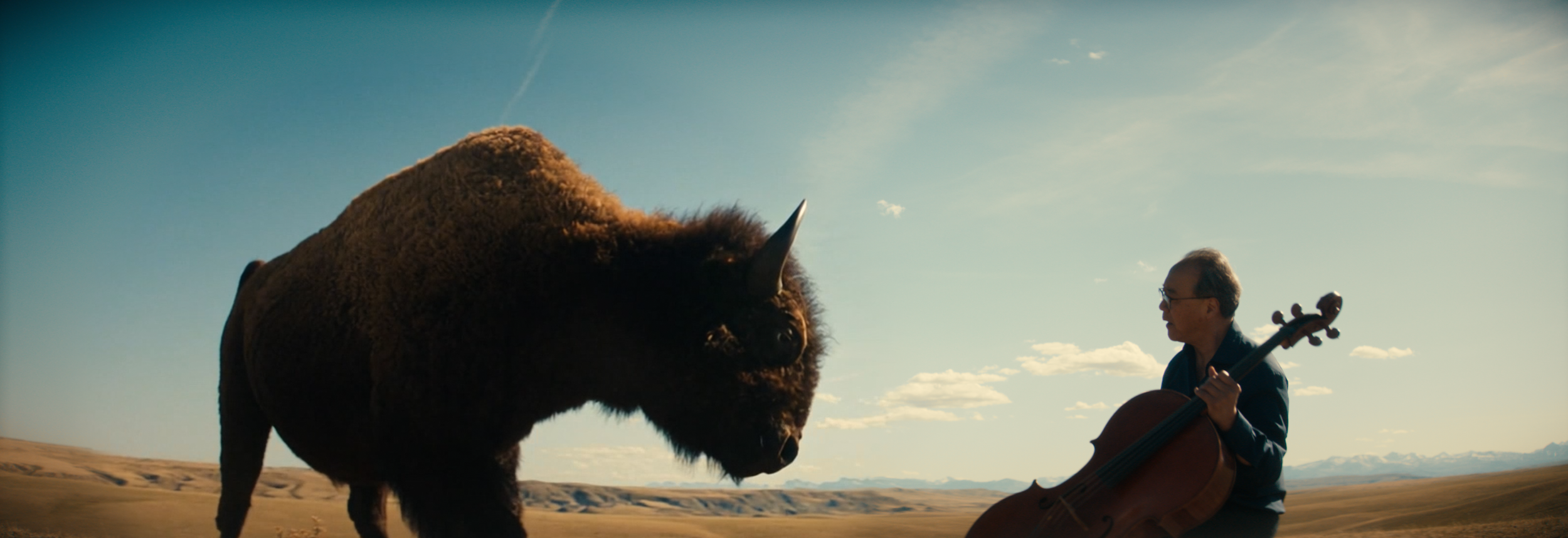 BUFFALO STILLS 7.png