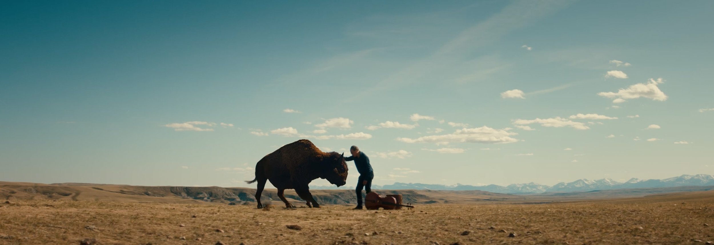 BUFFALO STILLS 14.png