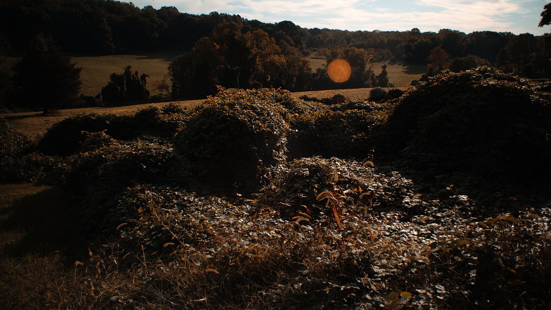 SDIM1104.JPG