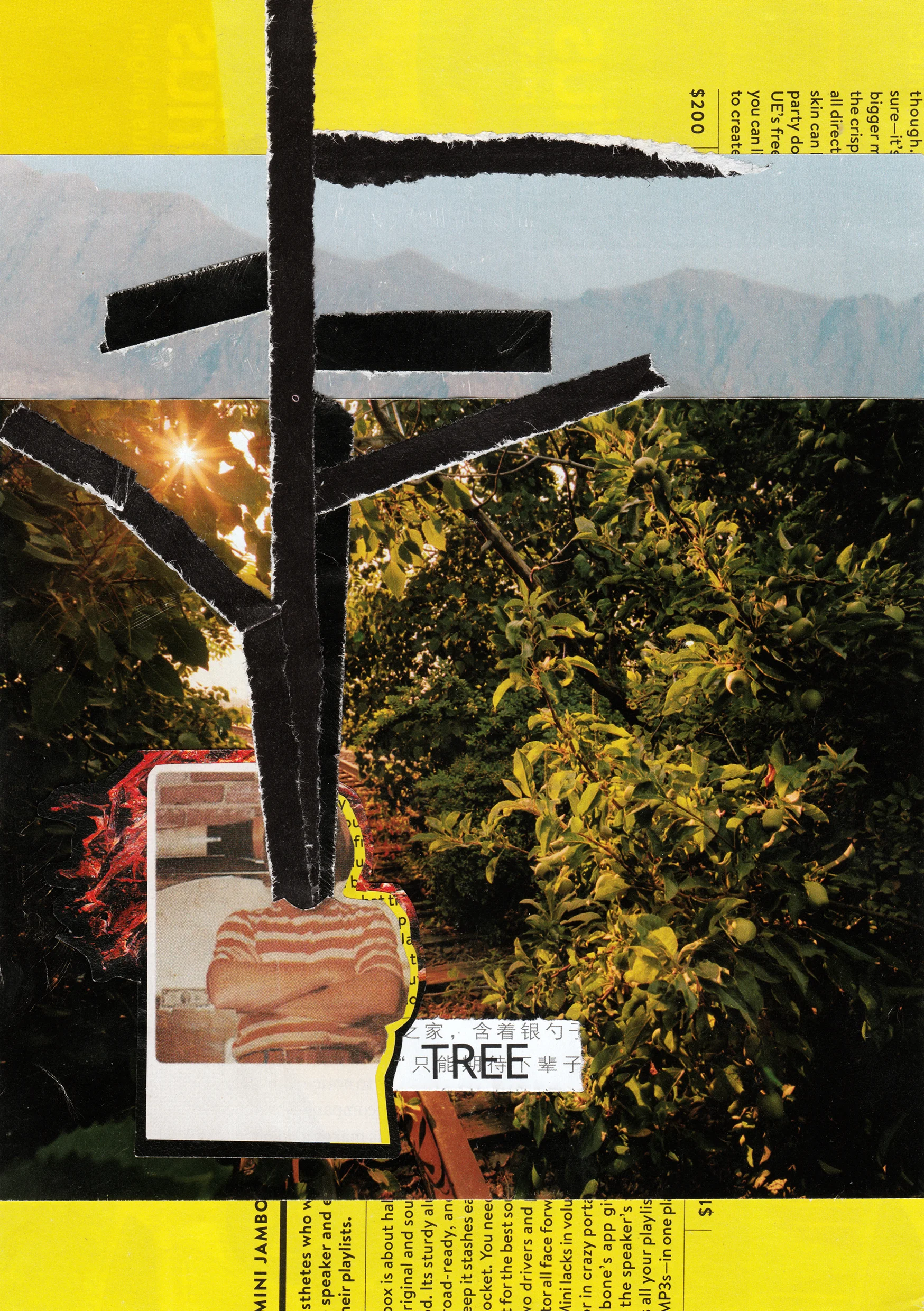01 tree.jpg