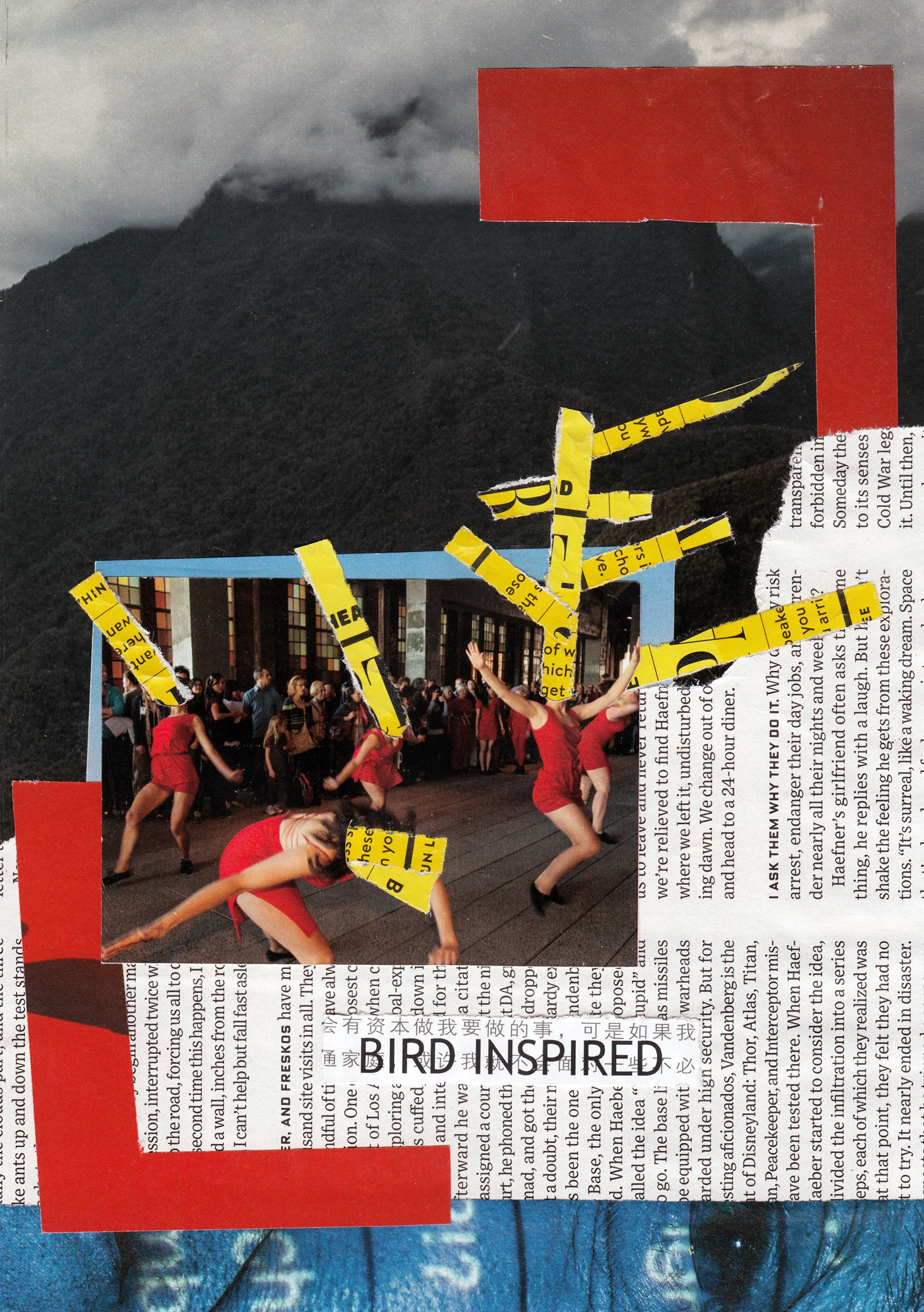 03 bird inspired.jpg