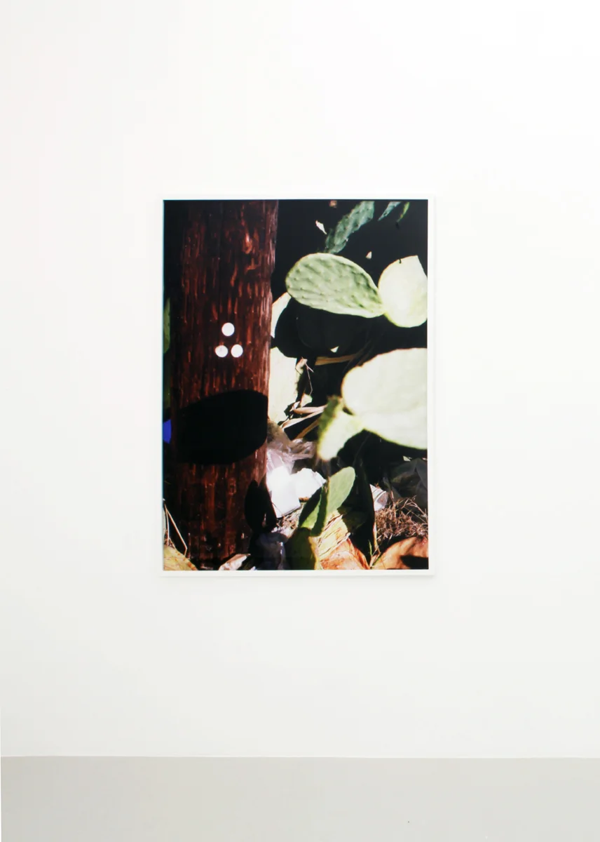 Flipper, 2013, 168 x 112,5 cm. Inkjet print in custom frame. Edition of 2 + 1 ap.