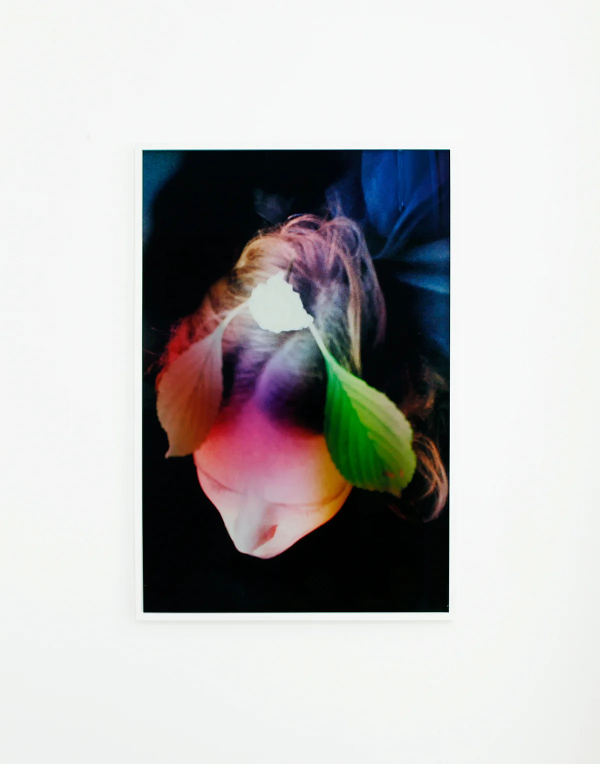 Hovedform, 2013, 109,5 x 74 cm. Inkjet print in custom frame. Edition of 2 + 1 ap.