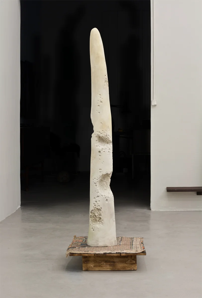 chn-Untitled-4.jpg