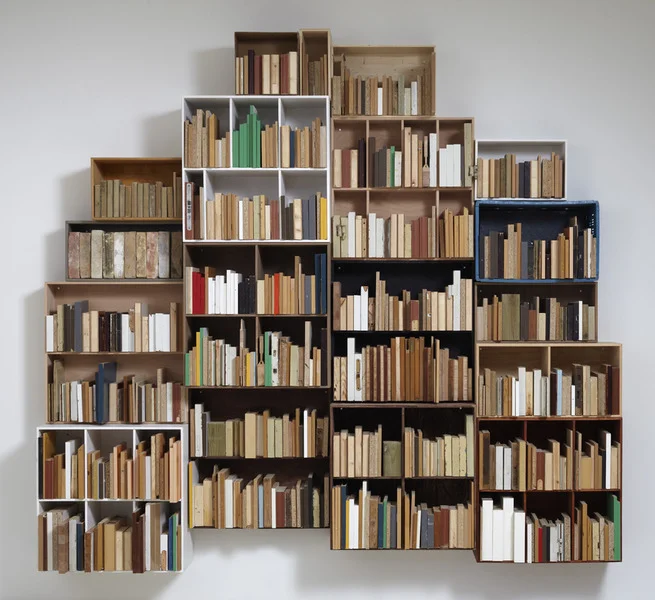 Untitled (for Raymond Carver), 2010, app. 270 x 280 x 50 cm. Bookcases and found wood.