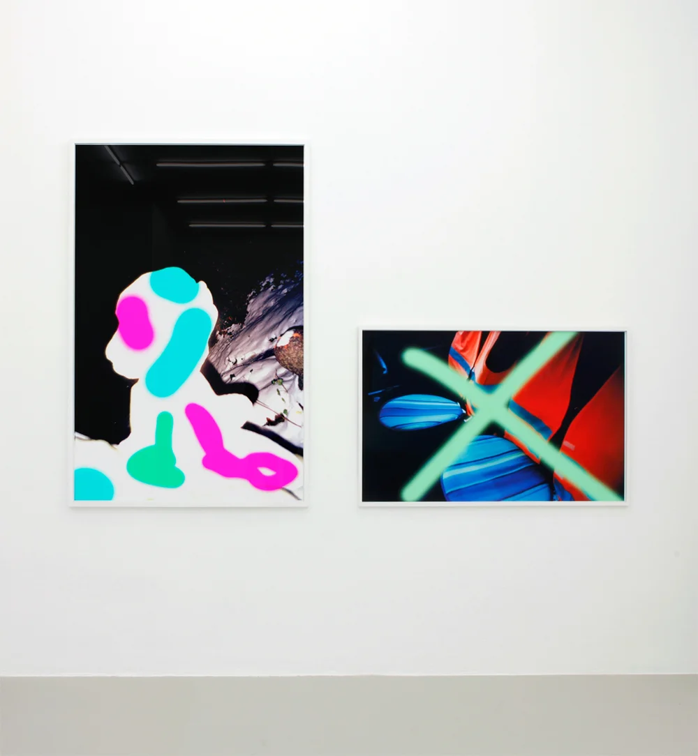Hjemmehund/Domestic Dog, 2013, 168 x 112,5 cm and Double, 2013, 85 x 125 cm. Both inkjet print in custom frames. Editions of 2 + 1 ap.