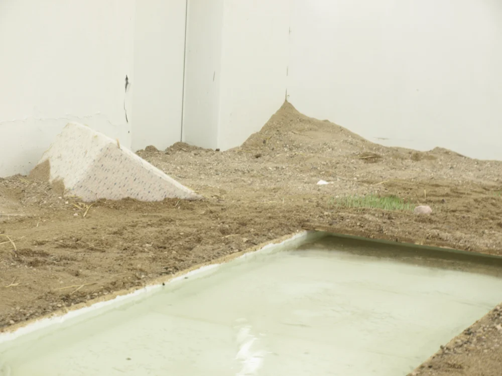 Installation view from Mathias & Mathias, 'Ricotta' at BKS Garage, 2013