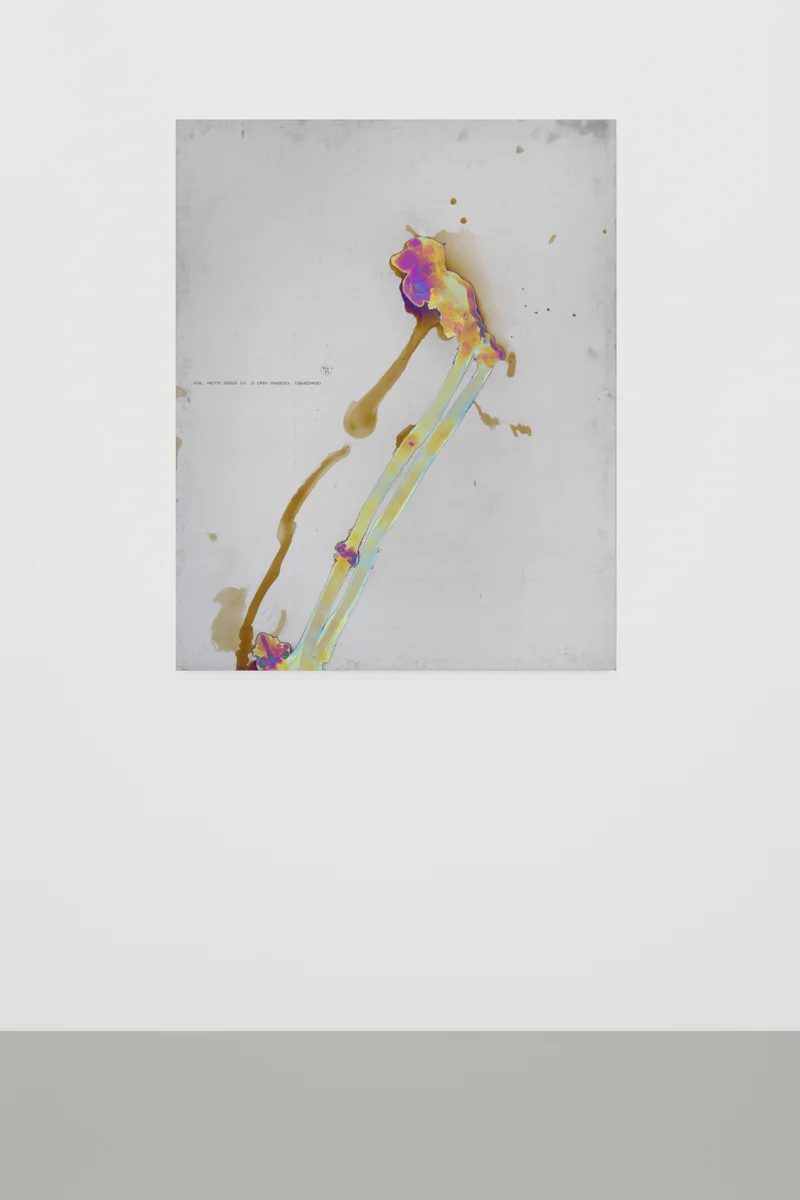 Untitled , 2014, 125 x 100 cm Anodized titanium