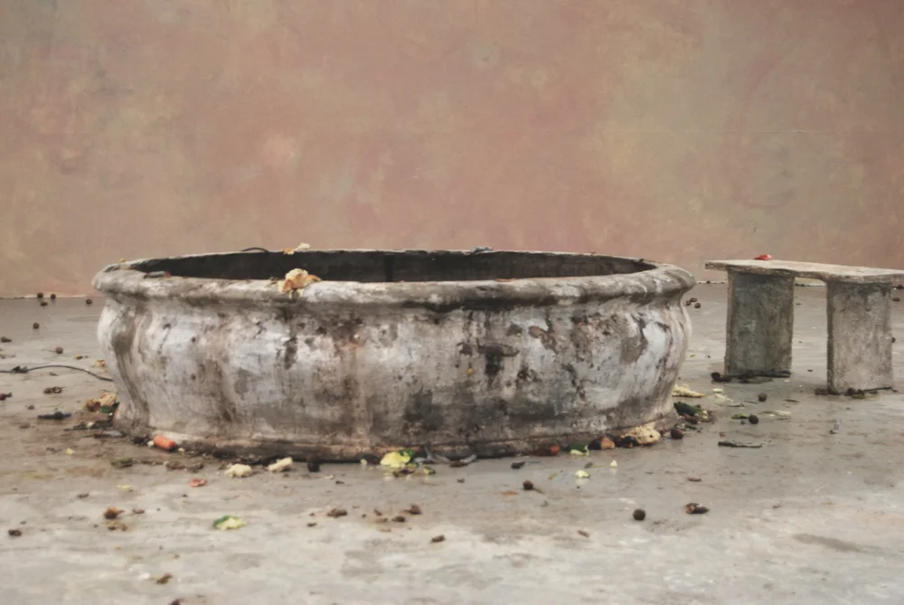 Ribolitta, 2014
