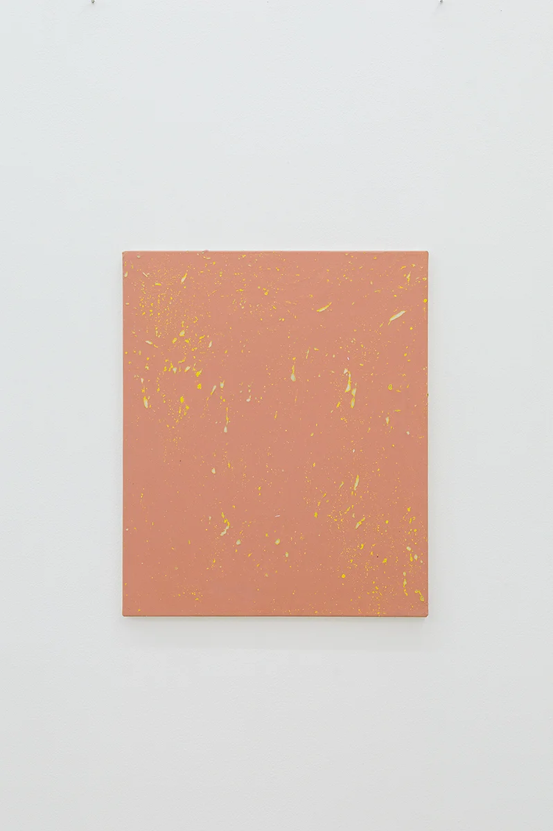 Untitled, 2015, 60 x 50 cm, Mixed media on canvas