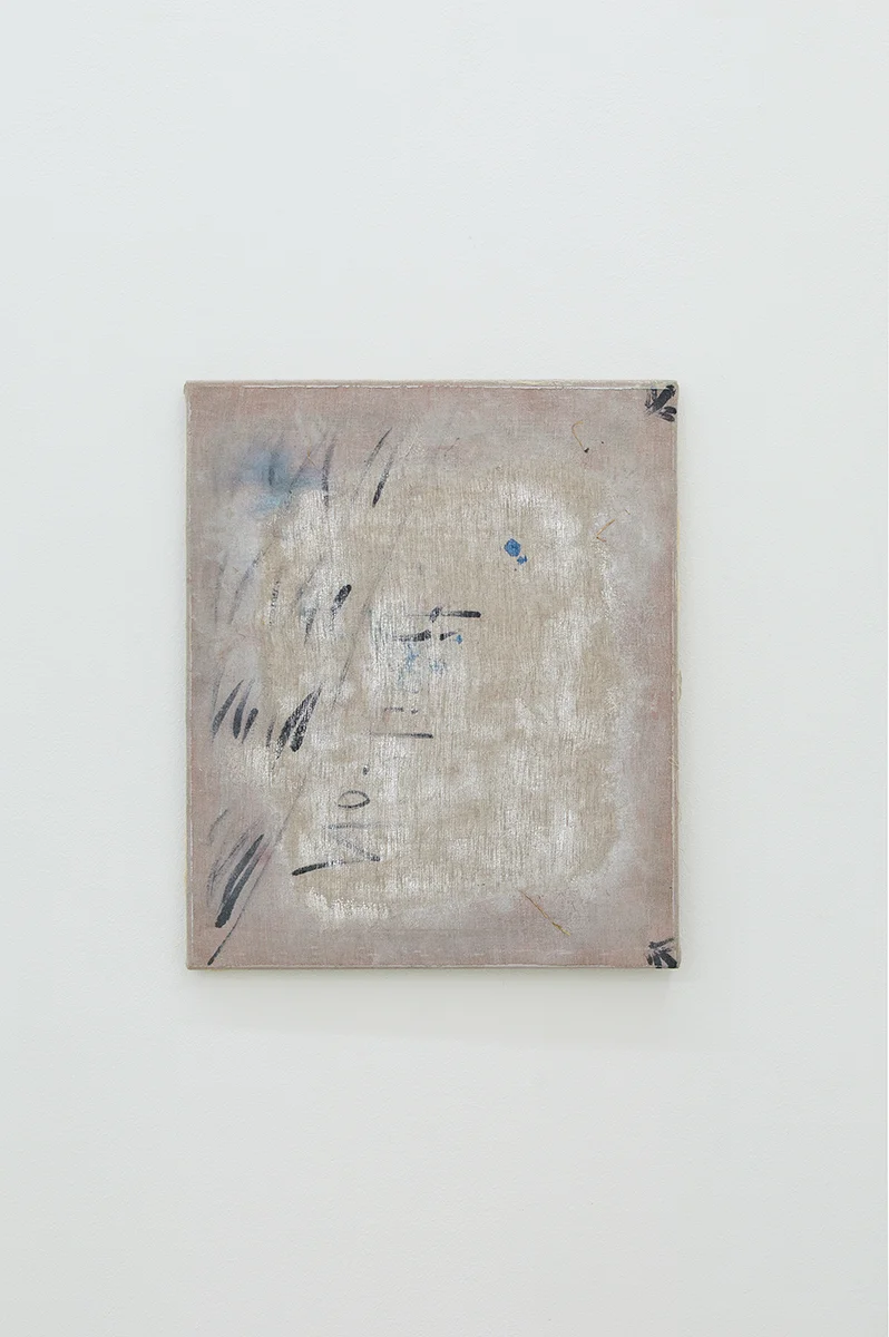 Untitled, 2015, 60 x 50 cm, Mixed media on canvas