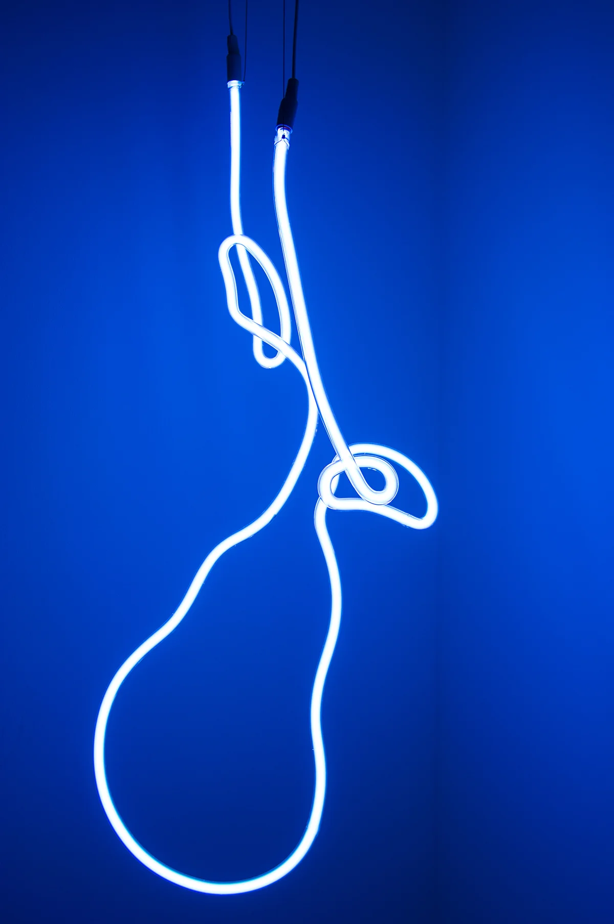 Tebessa 2011 Dimensions variable Neon light