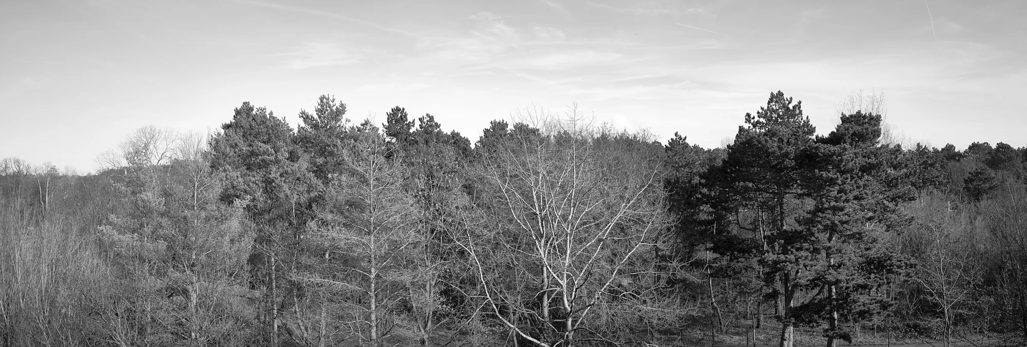  view to the north - Hubertuspark &amp; Klein Zwitserland 