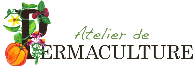 CassandraAllen_permaculture01.jpg