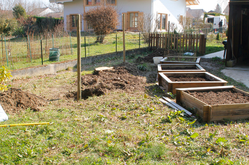 Four new raised garden beds and the holes and poles await the arrival of the fruit trees.