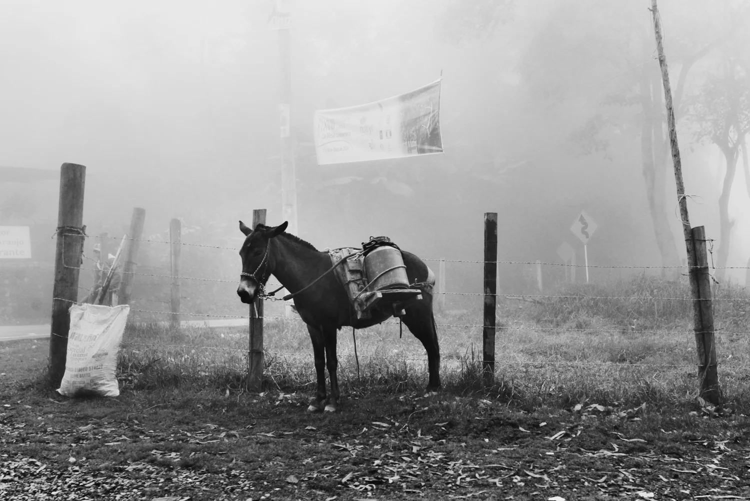 travel-lifestyle-colombia-amandajulca_02.jpg